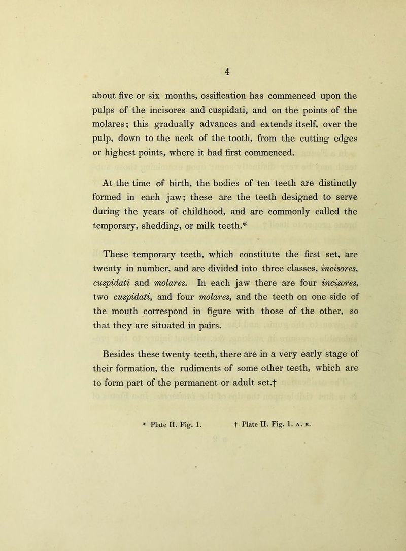about five or six months, ossification has commenced upon the pulps of the incisores and cuspidati, and on the points of the molares; this gradually advances and extends itself, over the pulp, down to the neck of the tooth, from the cutting edges or highest points, where it had first commenced. At the time of birth, the bodies of ten teeth are distinctly formed in each jaw; these are the teeth designed to serve during the years of childhood, and are commonly called the temporary, shedding, or milk teeth.* These temporary teeth, which constitute the first set, are twenty in number, and are divided into three classes, incisores, cuspidati and molares. In each jaw there are four incisores, two cuspidati, and four molares, and the teeth on one side of the mouth correspond in figure with those of the other, so that they are situated in pairs. Besides these twenty teeth, there are in a very early stage of their formation, the rudiments of some other teeth, which are to form part of the permanent or adult set.f