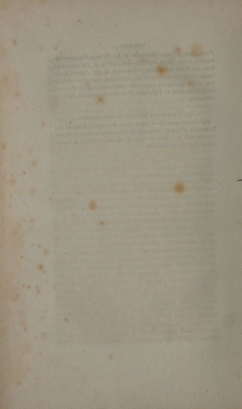 eh os cae + le Se: = aie we? a Me se  ‘ 4 Py > ’ ‘ t ' ) oo nan na ligsonsa: eth bone . mone anor mins ig ‘salah kip od i ne wt 1 ‘ a alt at ae (7 “Th o8 ois Vigteate, te 581 ellen a es disnga 24 a to erent ues a a ee gaia GE aa a Be. et tai nae seas yoliteh Lng pmete | S aati foo Hooae wok tunica eh nwhieratinle ‘Baas | ; Y rato Handy volts ahs mt re = i vt * ; va ; a ; Ff Lh ' vie ™ ‘, , ve 1 P 4 tl 5 Ay eet ra t= : ] J PA foie “hs asa! . ' vial he a es : A “ 7 a? er id, are &amp; ent as eae Ce , 2 lida! vi >, WS sales ES Sa env we ; Sil ein u renee . ube an ery iD as - eine ee ihe ooh oh, i eee ae ' biel, F Retry CML A ook 2 ee a oaks. 4. ay hat, ; ‘ Bs Ne ‘, bau ‘. Py y (a et hie sas “i ee if bakin Mp ee, é; “ ete * Ais Pie She ae 5 eet ee : a eee: aie OMe Tan) aa ba oa) ja, isa? Nae