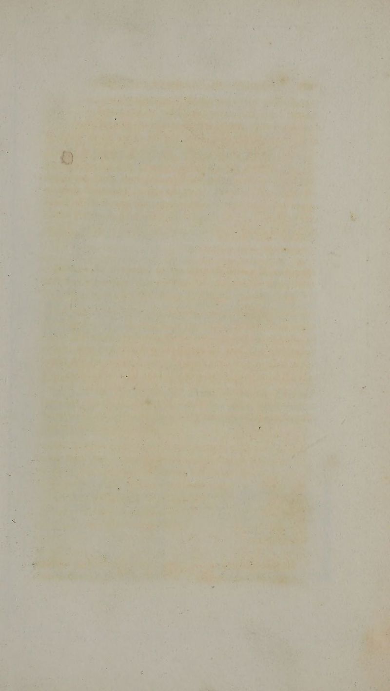 ¥ 7») 7) ‘ ia + hago! 95 &amp; i wag ‘t r 4 ¢ 4 al Rg ein | alee i elt na se ae Pat ‘a id - Pe &amp;