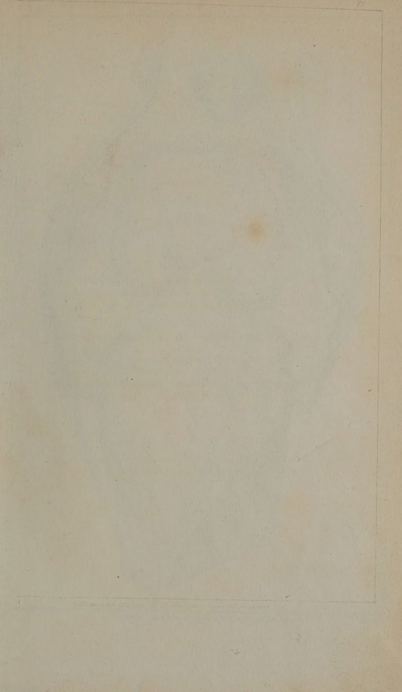 is ; Ler aA é. in aa ea bet, ay tg he