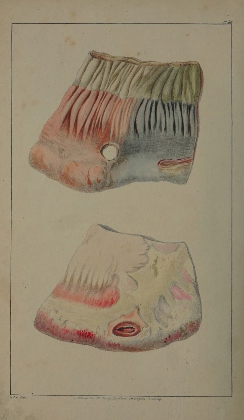 AAO. Leert 6 Stltemy BR UE Biecdon Hes Dla, STEWLAY LEM (RSE WEY,