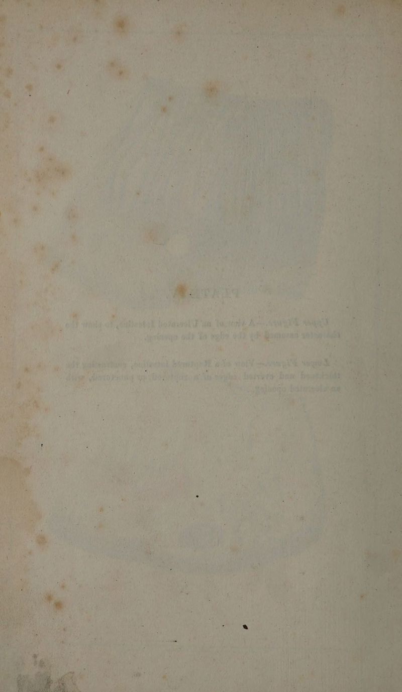 4 wy ; if hie iss Wk 4% a. hereto Dow fhowka ¢ vy 7 ‘ ypmaogo MN er ES y UT ee aay se