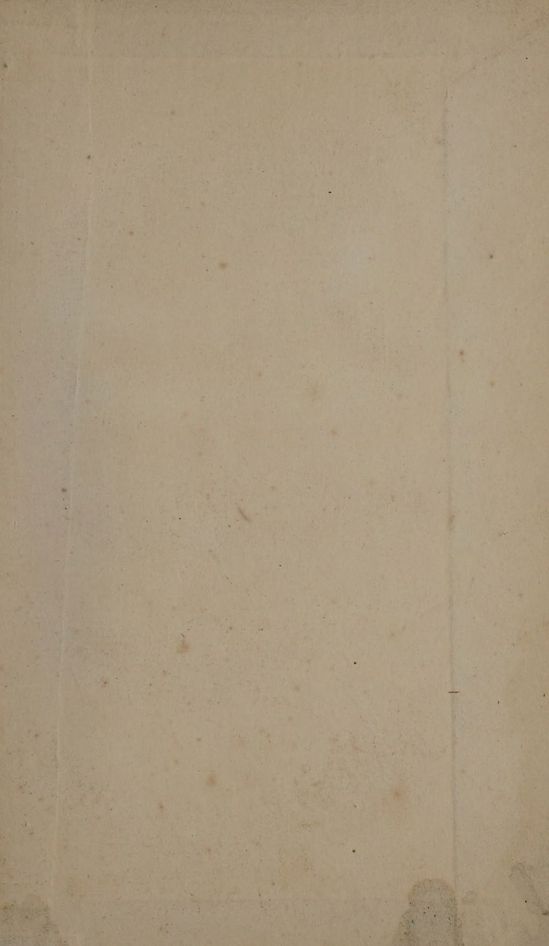 P oe ts shen OPP res omaes A &amp;