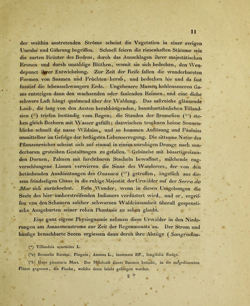 der weithin austretenden Ströme scheint die Vegetation in einer ewigen Unruhe und Gährung begriffen. Schnell feiern die riesenhaften Stämme wie die zarten Kräuter des Bodens, durch das Ausschlagen ihrer majestätischen Kronen und durch unzählige Blüthen, womit sie sich bedecken, den Wen- depunct ii^er Entwickelung. Zur Zeit der Reife fallen die wunderbarsten Formen von Saamen und Früchten herab, und bedecken hie und da fast ffisstief die lebensschwangere Erde. Ungeheuere Massen kohlensaueren Ga- ses entsteigen dann den wachsenden oder faulenden Keimen, und eine dicke schwere Luft hängt qualmend über der AValdung. Das saftreiche glänzende Laub, die lang von den Aesten herabhängenden, baumbartähnlichen Tilland- sien ('•') triefen beständig vom Regen; die Stauden der Bromelien ('•') ste- hen gleich Bechern mit VUasser gefüllt; dazwischen tropknen heisse Sonnen- hlicke schnell die nasse Wildniss,. und so kommen Auflösung und Fäulniss unmittelbar im Gefolge der heftigsten Lebenserregung. Die sittsame Natur des Pflanzenreiches scheint sich auf einmal in einem unruhigen Drange nach son- derbaren grotesken Gestaltungen zu gefallen. Gebüsche mit bösartigreizen- den Dornen, Palmen mit furchtbaren Stacheln bewaffnet, milchende eng- verschlungene Lianen verwirren die Sinne des Wanderers, der von den betäubenden Ausdünstungen des Oassacii getroffen, ängstlich aus die- sem feindseligen Chaos in die ruhige Majestät der Urwälder auf der Serra do Mar sich zurücksehnt. Kein Wunder, wenn in diesen Umgebungen die Seele des hier umherstreifenden Indianers verdüstert wird, und er, ergrif- fen von den Schauern solcher schwarzen Waldeinsamkeit überall gespensti- sche Ausgeburten seiner rohen Phantasie zu sehen glaubt. Eine ganz eigene Physiognomie nehmen diese Urwälder in den Niede- rungen am Amazonenstrome zur Zeit der Ptegenmonate an. Der Strom und häufige benachbarte Seeen ergiessen dann durch ihre Abzüge ( Sangradou- (*) Tillandsia usneoides L. (*a) Broraelia Karatas, Pinguin, Ananas L., incarnata BP., longifolia Rudge, ('•‘b) Hura piscatoria Mart. Der Milchsaft dieses Baumes betäubt, in die aufgedämmten Flüsse gegossen, die Fische, welche dann leicht gefangen werden. 2