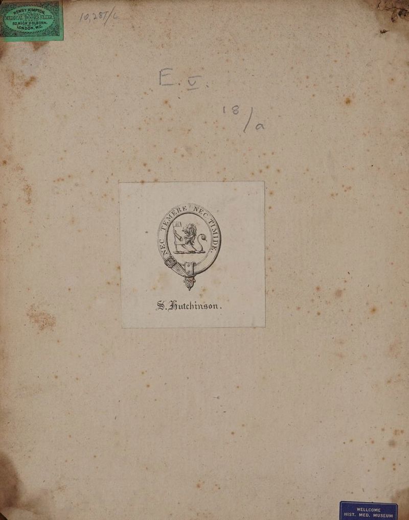 S$ Hutehin YON. _ * a a * + 4 * » * ar * i . . ‘ 3 é i i aye { A vr + O % % \ ~ - es E . ‘a : @ . > i ' ’ way”