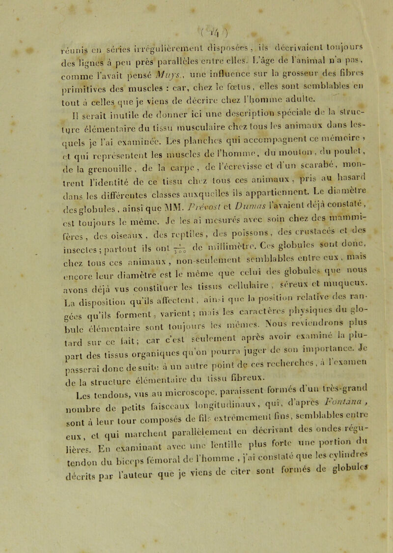 '( >4 ) réunis on séries irrégulièrement disposées, iis décrivaient toujours des lignes à peu près parallèles entre elles, l/âge de l’animal n’a pas, comme l’avait pensé Muys., une influence sur la grosseur des fibres primitives des muscles : car, chez le fœtus, elles sont semblables eu tout à celles que je viens de décrire chez 1 homme adulte. 11 serait inutile de donner ici une description spéciale de la struc- ture élémentaire du tissu musculaire chez tous les animaux dans les- quels je l’ai examinée. Les planches qui accompagnent ce mémoire , et qui représentent les muscles de l’homme, du mouton , du poulet, de la grenouille, de la carpe, de l’écrevisse et d’un scarabe, mon- trent l’identité de ce tissu chez tous ces animaux, pris au hasard dans les différentes classes auxquelles iis appartiennent. Le diamètre des globules , ainsi que MM. Prévost et Dumas l’avaient déjà constaté, est toujours le même. Je les ai mesurés avec soin chez des mammi fores, dos oiseaux , des reptiles , des poissons, des crustacés et des insectes; partout ils ont — de millimètre. Ces globules sont donc, chez tous ces animaux , non-seulement semblables entre eux , mais encore leur diamètre est le même que celui des globules que nous avons déjà vus constituer les tissus cellulaire , séreux et muqueux. La disposition qu’ils affectent, ainsi que la position relative des ram gées qu’ils forment, varient; mais les caractères physiques du glo- bule élémentaire sont toujours les mêmes. Nous reviendrons plus tard sur ce (ait; car c’est seulement après avoir examine la plu pari des tissus organiques qu'on pourra juger de sou importance. Je passerai donc de suite A un autre point de ces recherches, a 1 examen de la structure élémentaire du tissu fibreux. , Les tendons, vus au microscope, paraissent formés d un tres-gram nombre de petits faisceaux longitudinaux, qui, d'après FonUnc,, sont à leur lour composés de fil: extrêmement fins, semblables entre eux et qui marchent parallèlement eu décrivant des ondes regu- Hère’s lin examinant avec une lentille plus forte une portion du tendon .lu biceps fémoral de l'homme , j'ai cons,ale que les ov .mires décrits par l'auteur que je viens de citer sont formés de globules