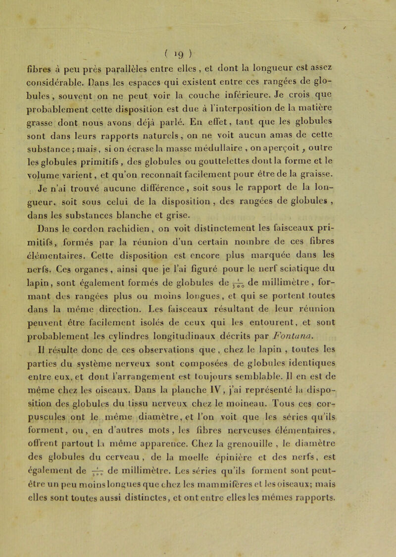 ( »9 ) fibres à peu près parallèles entre elles , et dont la longueur est assez considérable. Dans les espaces qui existent entre ces rangées de glo- bules , souvent on ne peut voir la couche inférieure. Je crois que probablement cette disposition est due à l’interposition de la matière grasse dont nous avons déjà parlé. En effet, tant que les globules sont dans leurs rapports naturels, on ne voit aucun amas de cette substance ; mais, si on écrase la masse médullaire , on aperçoit, outre les globules primitifs, des globules ou gouttelettes dont la forme et le volume varient, et qu’on reconnaît facilement pour être de la graisse. Je n’ai trouvé aucune différence, soit sous le rapport de la lon- gueur, soit sous celui de la disposition , des rangées de globules , dans les substances blanche et grise. Dans le cordon rachidien, on voit distinctement les faisceaux pri- mitifs, formés par la réunion d’un certain nombre de ces fibres élémentaires. Cette disposition est encore plus marquée dans les nerfs. Ces organes, ainsi que je l’ai figuré pour le nerf sciatique du lapin, sont également formés de globules de —9 de millimètre, for- mant des rangées plus ou moins longues, et qui se portent toutes dans la même direction. Les faisceaux résultant de leur réunion peinent être facilement isolés de ceux qui les entourent, et sont probablement les cylindres longitudinaux décrits par Fontana. Il résulte donc de ces observations que , chez le lapin , toutes les parties du système nerveux sont composées de globules identiques entre eux, et dont l’arrangement est toujours semblable. Il en est de même chez les oiseaux. Dans la planche IV, j’ai représenté la dispo- sition des globules du tissu nerveux chez le moineau. Tous ces cor- puscules ont le même diamètre, et l’on voit que les séries qu’ils forment, ou, en d’autres mots, les fibres nerveuses élémentaires, offrent partout la même apparence. Chez la grenouille , le diamètre des globules du cerveau, de la moelle épinière et des nerfs, est également de 7^7 de millimètre. Les séries qu’ils forment sont peut- être un peu moinslongues que chez les mammifères et lesoiseaux; mais elles sont toutes aussi distinctes, et ont entre elles les mêmes rapports.