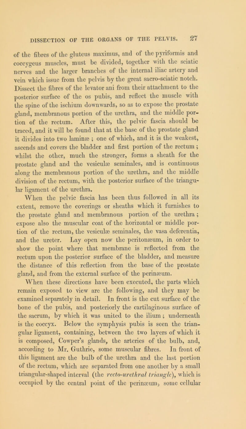 of the fibres of the gluteus maximus, and of the pyriformis and coccygeus muscles, must be divided, together with tlie sciatic nerves and the larger branches of the internal iliac artery and vein which issue from the pelvis by the great sacro-sciatic notch. Dissect the fibres of the levator ani from their attachment to the posterior surface of the os pubis, and reflect the muscle with the spine of the ischium downwards, so as to expose the prostate gland, membranous portion of the urethra, and the middle por- tion of the rectum. After this, the pelvic fascia should be traced, and it will be found that at the base of the prostate gland it divides into two laminae ; one of which, and it is the weakest, ascends and covers the bladder and first portion of the rectum ; whilst the other, much the stronger, forms a sheath for the prostate gland and the vesiculae seminales, and is continuous along the membranous portion of the urethra, and the middle division of the rectum, with the posterior surface of the triangu- lar ligament of the urethra. When the pelvic fascia has been thus followed in all its extent, remove the coverings or sheaths which it furnishes to the prostate gland and membranous portion of the urethra ; expose also the muscular coat of the horizontal or middle por- tion of the rectum, the vesiculse seminales, the vasa deferentia, and the ureter. Lay open now the pcritonseum, in order to show the point where that membrane is reflected from the rectum upon the posterior surface of the bladder, and measure the distance of this reflection from the base of the prostate gland, and from the external surface of the perinseum. When these directions have been executed, the parts which remain exposed to view are the following, and they may be examined separately in detail. In front is the cut surface of the bone of the pubis, and posteriorly the cartilaginous surface of the sacrum, by which it was united to the ilium; underneath is the coccyx. Below the symphysis pubis is seen the trian- gular ligament, containing, between the two layers of which it is composed, Cowper’s glands, the arteries of the bulb, and, according to Mr. Guthrie, some muscular fibres. In front of this ligament are the bulb of the urethra and the last portion of the rectum, which arc separated from one another by a small triangular-shaped interval (the recto-urelhr'a/ triangle), which is occupied by the central point of the perinoeumj some cellular