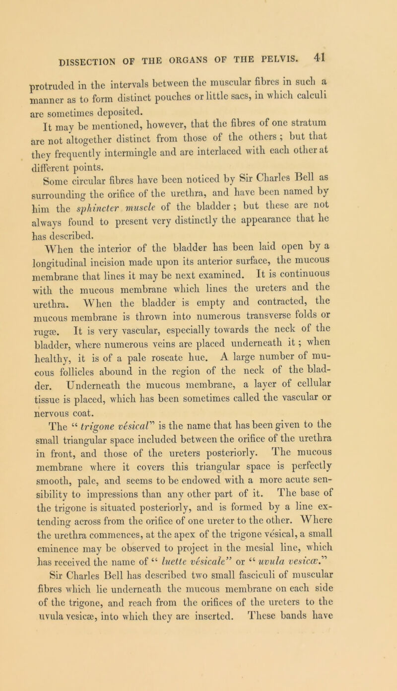 protruded in the intervals between the muscular fibres in such a manner as to form distinct pouches or little sacs, in which calculi are sometimes deposited. It may be mentioned, however, that the fibres of one stratum are not altogether distinct from those of the others ; but that they frequently intermingle and are interlaced with each other at different points. Some circular fibres have been noticed by Sir Charles Bell as surrounding the orifice of the urethra, and have been named by him the sphincter muscle of the bladder ; but these are not always found to present very distinctly the appearance that he has described. When the interior of the bladder has been laid open by a longitudinal incision made upon its anterior surface, the mucous membrane that lines it may be next examined. It is continuous with the mucous membrane which lines the ureters and the urethra. When the bladder is empty and contracted, the mucous membrane is thrown into numerous transverse folds or rugae. It is very vascular, especially towards the neck of the bladder, where numerous veins are placed underneath it; when healthy, it is of a pale roseate hue. A large number of mu- cous follicles abound in the region of the neck of the blad- der. Underneath the mucous membrane, a layer of cellular tissue is placed, which has been sometimes called the vascular or nervous coat. The “ trigone vhicaV’‘ is the name that has been given to the small triangular space included between the orifice of the urethra in front, and those of the ureters posteriorly. The mucous membrane where it covers this triangular space is perfectly smooth, pale, and seems to be endowed with a more acute sen- sibility to impressions than any other part of it. The base of the trigone is situated posteriorly, and is formed by a line ex- tending across from the orifice of one ureter to the other. Where O the urethra commences, at the apex of the trigone vesical, a small eminence may be observed to project in the mesial line, which has received the name of “ luetle vhicale” or “ uvula vesica:.'’'’ Sir Charles Bell has described two small fasciculi of muscular fibres which lie underneath the mucous membrane on each side of the trigone, and reach from the orifices of the ureters to the uvula vesicse, into which they arc inserted. These bands have