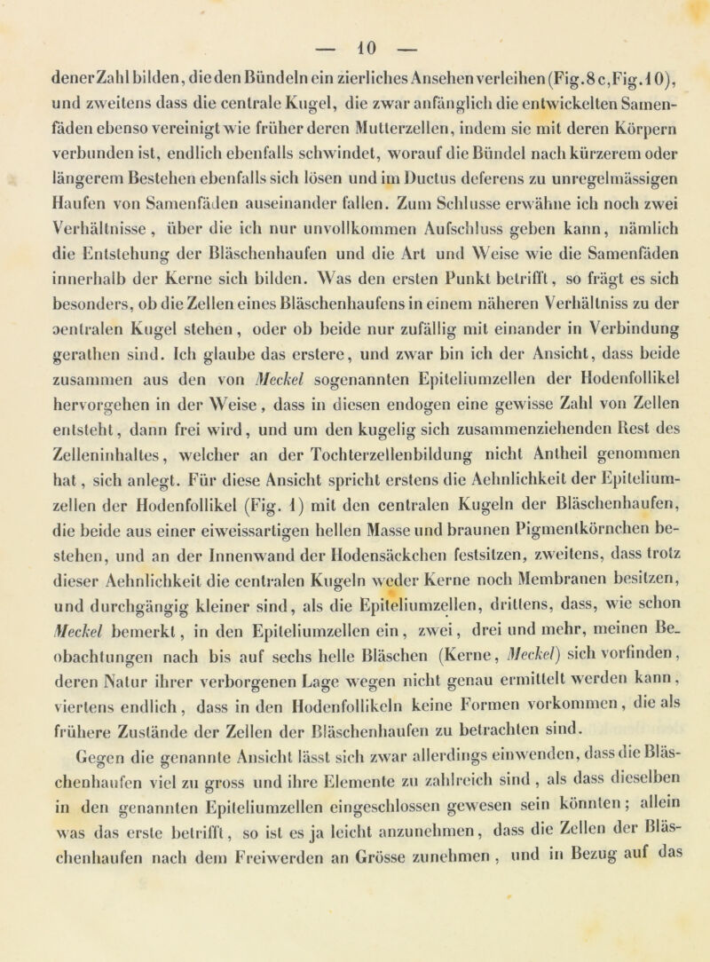 denerZahlbilden, diedenBiindelnein zierlichesiWsehenverleihen (Fig.8 c,Fig. 40), und zweitens dass die centrale Kugel, die zwar anfanglich die entwickelten Samen- faden ebenso vereinigt wie friiher deren Mutlerzellen, indeni sie mit deren Kbrpern verbunden ist, endlich ebenfalls schwindet, worauf dieBiindel nachkurzerem oder langerem Bestehen ebenfalls sich Ibsen und ini Ductus deferens zu unregelmassigen Haufen von Samenfaden auseinander fallen. Zuni Sclilusse erwahne ich noch zwei Verhaltnisse, fiber die ich nur unvollkommen Aufschluss geben kann, namlich die Entstehung der Blaschenhaufen und die Art und Weise wie die Samenfaden innerhalb der Kerne sicli bilden. Was den ersten IJunkt betrifft, so fragt es sich besonders, ob die Zellen eines Blaschenhaufens in einem naheren Verhallniss zu der oentralen Kugel stehen, oder ob beide nur zufallig mit einander in Verbindung gerathen sind. Ich glaube das erstere, und zwar bin ich der Ansicht, dass beide zusammen aus den von Meckel sogenannten Epiteliumzellen der Hodenfollikel hervorgehen in der Weise, dass in diesen endogen eine gewisse Zahl von Zellen entsteht, dann frei wild, und um den kugelig sich zusammenziehenden Rest des Zelleninhaltes, welcher an der Tochterzellenbildung nicht Antheil genommen hat, sich anlegt. Fur diese Ansicht spricht erstens die Aehnlichkeit der Epitelium- zellen der Hodenfollikel (Fig. 4) mit den centralen Kugeln der Blaschenhaufen, die beide aus einer eiweissartigen hellen Masse und braunen Iffgmenlkbrnchen be- stehen, und an der Innenwand der Ilodensackchen festsitzen, zweitens, dass trotz dieser Aehnlichkeit die centralen Kugeln weder Kerne noch Membranen besitzen, und durchgangig kleiner sind, als die Epiteliumzellen, dritlens, dass, wie sclion Meckel bemerkl, in den Epiteliumzellen ein, zwei, drei und mehr, meinen 44e_ obachtungen nach bis auf sechs helle Blaschen (Kerne, Meckel) sich vorfinden, deren Natur ilirer verborgenen Lage wegen nicht genau ermittelt werden kann, viertens endlich, dass in den Hodenfollikcln keine Former! vorkommen, die als friihere Zustande der Zellen der Blaschenhaufen zu betrachten sind. Gegen die genannte Ansicht lasst sich zwar allerdings einwenden, dass die Blas- chenhaufen viel zu gross und ihre Elemente zu zaldreich sind, als dass dieselben in den genannten Epileliumzellen eingeschlossen gewesen sein kbrmlen; allein was das erste betrifft, so ist es ja leiclit anzunehmen, dass die Zellen der Blas- chenhaufen nach dem Freiwerden an Grbsse zunehmen , und in Bezug auf das