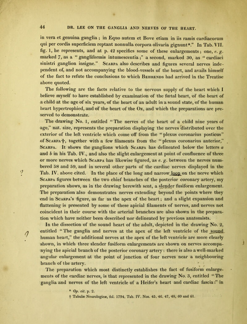 in vera et genuina ganglia ; in Equo autem et Bove etiam in iis ramis cardiacorum qui per cordis superficiein reptant nonnulla corpora olivaria gignunt*.” In Tab. VII. fig. 1, he represents, and at p. 42 specifies some of these enlargements; one, e. g. marked 7, as a “ gangliformis intumescentiaa second, marked 30, as “ cardiaci sinistri ganglion insigne.” Scarpa also describes and figures several nerves inde- pendent of, and not accompanying the blood-vessels of the heart, and avails himself of the fact to refute the conclusions to which Behrends had arrived in the Treatise above quoted. The following are the facts relative to the nervous supply of the heart which I believe myself to have established by examination of the foetal heart, of the heart of a child at the age of six years, of the heart of an adult in a sound state, of the human heart hypertrophied, and of the heart of the Ox, and which the preparations are pre- served to demonstrate. The drawing No. 1, entitled “The nerves of the heart of a child nine years of age,” nat. size, represents the preparation displaying the nerves distributed over the exterior of the left ventricle which come olf from the “plexus coronarius posticus” of Scarpa'f', together with a few filaments from the “ plexus coronarius anterior,” Scarpa. It shows the ganglions which Scarpa has delineated below the letters a and b in his Tab. IV., and also the slight enlargement at point of confluence of three or more nerves which Scarpa has likewise figured, as e. g. between the nerves num- bered 58 and 59, and in several other parts of the cardiac nerves displayed in the Tab. IV. above cited. In the place of the long and narrow loop on the nerve which Scarpa figures between the two chief branches of the posterior coronary artery, my preparation shows, as in the drawing herewith sent, a slender fusiform enlargement. The preparation also demonstrates nerves extending beyond the points where they end in Scarpa’s figure, as far as the apex of the heart; and a slight expansion and flattening is presented by some of these apicial filaments of nerves, and nerves not coincident in their course with the arterial branches are also shown in the prepara- tion which have neither been described nor delineated by previous anatomists. In the dissection of the sound heart of the adult, depicted in the drawing No. 2, entitled “The ganglia and nerves at the apex of the left ventricle of the _sound human heart,” the additional nerves at the apex of the left ventricle are more clearly shown, in which three slender fusiform enlargements are shown on nerves accompa- nying the apicial branch of the posterior coronary artery: there is also a well-marked angular enlargement at the point of junction of four nerves near a neighbouring branch of the artery. The preparation which most distinctly establishes the fact of fusiform enlarge- ments of the cardiac nerves, is that represented in the drawing No. 3, entitled “The ganglia and nerves of the left ventricle of a Heifer’s heart and cardiac fasciain * Op. cit. p. 2. f Tabulae Neurologicae, fol. 1794, Tab. IV. Nos. 45, 46, 47, 48, 60 and 61.