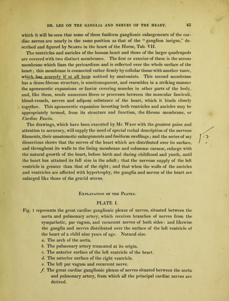 which it will be seen that some of these fusiform ganglionic enlargements of the car- diac nerves are nearly in the same position as that of the “ganglion insigne,” de- scribed and figured by Scarpa in the heart of the Horse, Tab. VII. The ventricles and auricles of the human heart and those of the larger quadrupeds are covered with two distinct membranes. The first or exterior of these is the serous membrane which lines the pericardium and is reflected over the whole surface of the heart; this membrane is connected rather firmly by cellular tissue with another tunic, which has scarcely if at all been noticed by anatomists. This second membrane has a dense fibrous structure, is semitransparent, and resembles in a striking manner the aponeurotic expansions or fasciae covering muscles in other parts of the body, and, like them, sends numerous fibres or processes between the muscular fasciculi, blood-vessels, nerves and adipose substance of the heart, which it binds closely together. This aponeurotic expansion investing both ventricles and auricles may be appropriately termed, from its structure and function, the fibrous membrane, or Cardiac Fascia. The drawings, which have been executed by Mr. West with the greatest pains and attention to accuracy, will supply the need of special verbal description of the nervous filaments, their anastomotic enlargements and fusiform swellings; and the series of my dissections shows that the nerves of the heart which are distributed over its surface, and throughout its walls to the lining membrane and columnae carnese, enlarge with the natural growth of the heart, before birth and during childhood and youth, until the heart has attained its full size in the adult; that the nervous supply of the left ventricle is greater than that of the right; and that when the walls of the auricles and ventricles are affected with hypertrophy, the ganglia and nerves of the heart are enlarged like those of the gravid uterus. Explanation of the Plates. PLATE I. Fig. 1 represents the great cardiac ganglionic plexus of nerves, situated between the aorta and pulmonary artery, which receives branches of nerves from the sympathetic, par vagum, and recurrent nerves of both sides: and likewise the ganglia and nerves distributed over the surface of the left ventricle of the heart of a child nine years of age. Natural size. a. The arch of the aorta. b. The pulmonary artery truncated at its origin. c. The anterior surface of the left ventricle of the heart. d. The anterior surface of the right ventricle. e. The left par vagum and recurrent nerve. f. The great cardiac ganglionic plexus of nerves situated between the aorta and pulmonary artery, from which all the principal cardiac nerves are derived.
