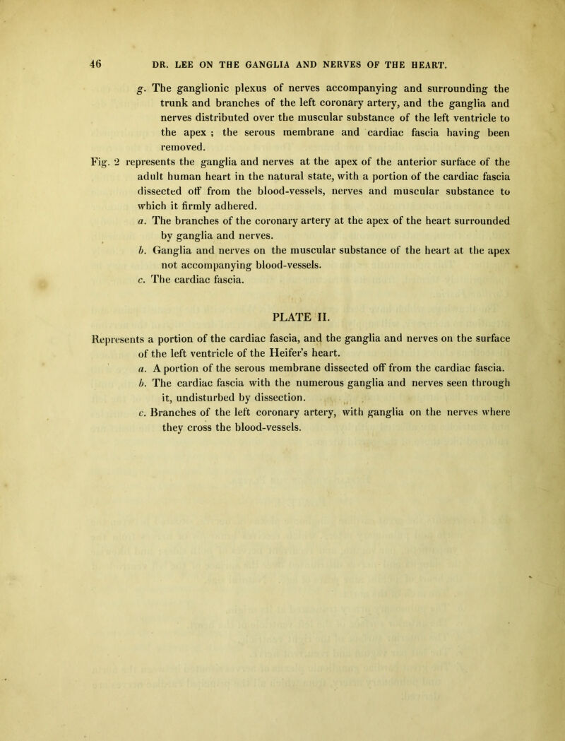 g. The ganglionic plexus of nerves accompanying and surrounding the trunk and branches of the left coronary artery, and the ganglia and nerves distributed over the muscular substance of the left ventricle to the apex ; the serous membrane and cardiac fascia having been removed. Fig. 2 represents the ganglia and nerves at the apex of the anterior surface of the adult human heart in the natural state, with a portion of the cardiac fascia dissected otf from the blood-vessels, nerves and muscular substance to which it firmly adhered. a. The branches of the coronary artery at the apex of the heart surrounded by ganglia and nerves. b. Ganglia and nerves on the muscular substance of the heart at the apex not accompanying blood-vessels. c. The cardiac fascia. PLATE II. Represents a portion of the cardiac fascia, and the ganglia and nerves on the surface of the left ventricle of the Heifer’s heart. a. A portion of the serous membrane dissected off from the cardiac fascia. b. The cardiac fascia with the numerous ganglia and nerves seen through it, undisturbed by dissection. c. Branches of the left coronary artery, with ganglia on the nerves where they cross the blood-vessels.