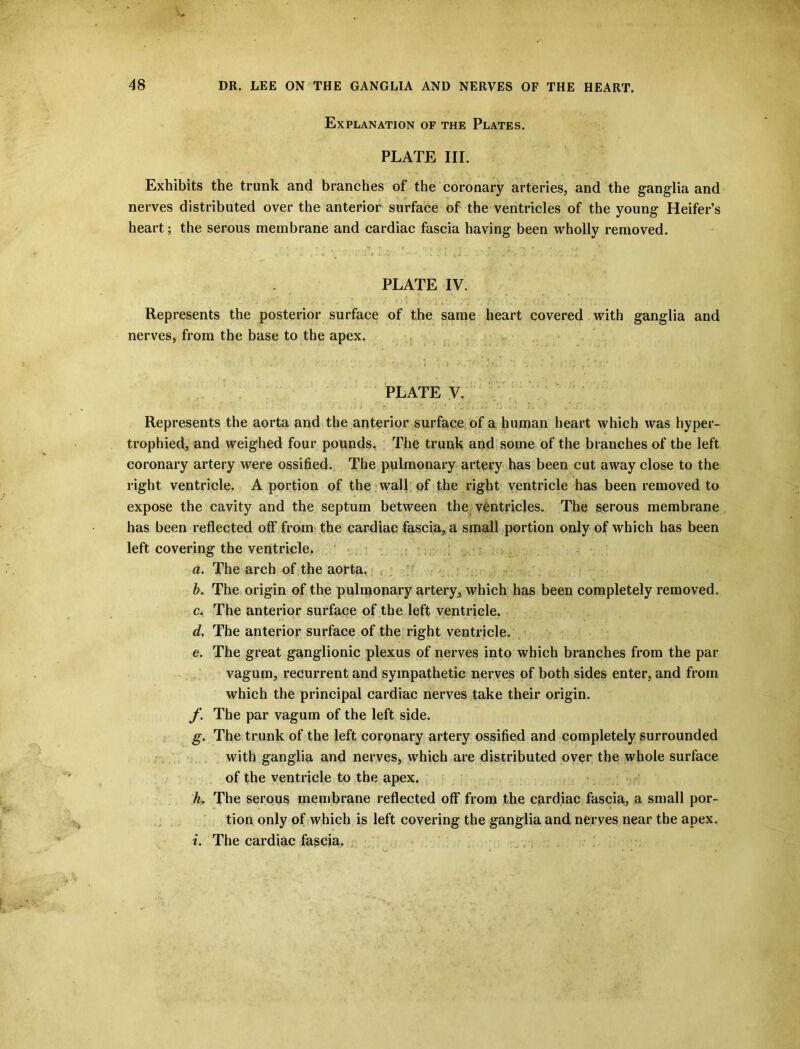 Explanation of the Plates. PLATE III. Exhibits the trunk and branches of the coronary arteries, and the ganglia and nerves distributed over the anterior surface of the ventricles of the young Heifer’s heart; the serous membrane and cardiac fascia having been wholly removed. PLATE IV. Represents the posterior surface of the same heart covered with ganglia and nerves, from the base to the apex. PLATE V. Represents the aorta and the anterior surface of a human heart which was hyper- trophied, and weighed four pounds. The trunk and some of the branches of the left coronary artery were ossified. The pulmonary artery has been cut away close to the right ventricle. A portion of the wall of the right ventricle has been removed to expose the cavity and the septum between the ventricles. The serous membrane has been reflected off from the cardiac fascia, a small portion only of which has been left covering the ventricle. a. The arch of the aorta. b. The origin of the pulmonary artery, which has been completely removed. c. The anterior surface of the left ventricle. d. The anterior surface of the right ventricle. e. The great ganglionic plexus of nerves into which branches from the par vagum, recurrent and sympathetic nerves of both sides enter, and from which the principal cardiac nerves take their origin. f. The par vagum of the left side. g. The trunk of the left coronary artery ossified and completely surrounded with ganglia and nerves, which are distributed over the whole surface of the ventricle to the apex. h. The serous membrane reflected off from the cardiac fascia, a small por- tion only of which is left covering the ganglia and nerves near the apex. i. The cardiac fascia.
