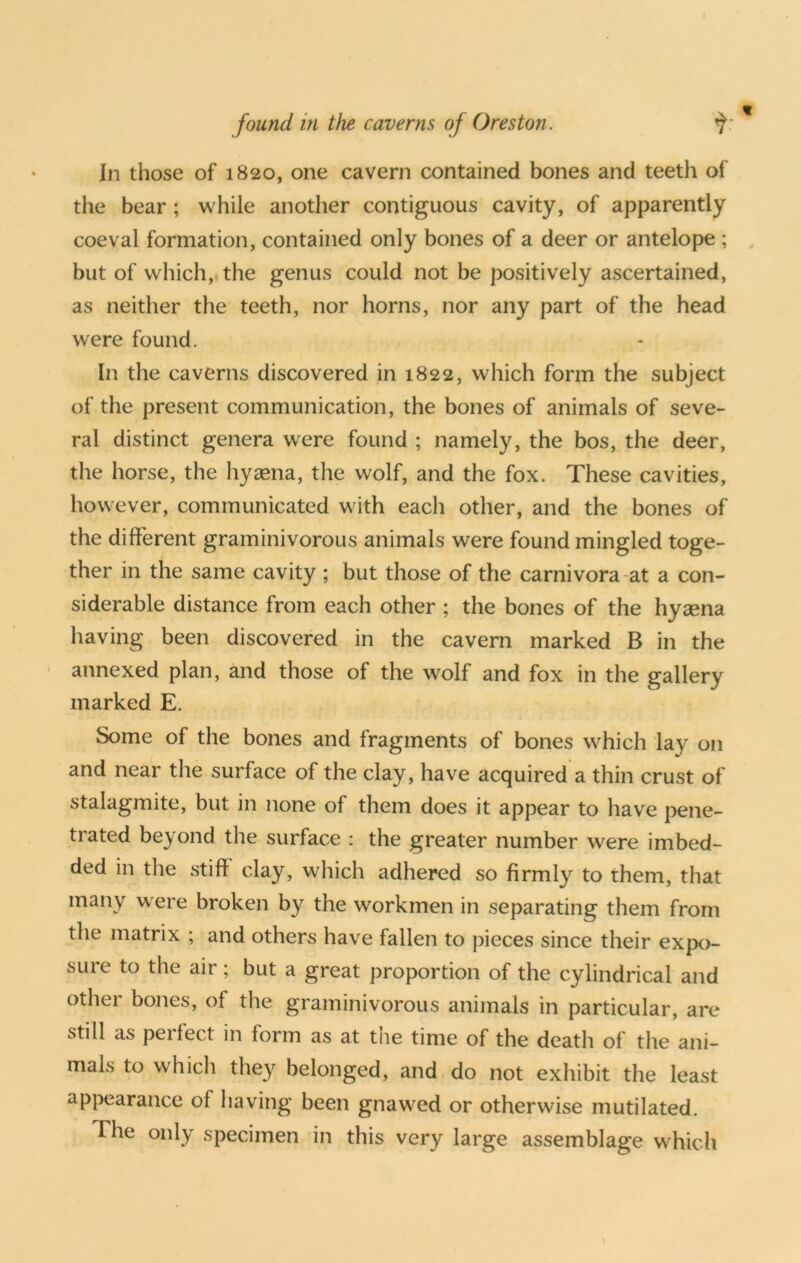 In those of 1820, one cavern contained bones and teeth of the bear ; while another contiguous cavity, of apparently coeval formation, contained only bones of a deer or antelope ; but of wliich,. the genus could not be positively ascertained, as neither the teeth, nor horns, nor any part of the head were found. In the caverns discovered in 1822, which form the subject of the present communication, the bones of animals of seve- ral distinct genera were found ; namely, the bos, the deer, the horse, the hyaena, the wolf, and the fox. These cavities, however, communicated with each other, and the bones of the different graminivorous animals were found mingled toge- ther in the same cavity; but those of the carnivora at a con- siderable distance from each other ; the bones of the hyasna having been discovered in the cavern marked B in the annexed plan, and those of the wolf and fox in the gallery marked E. Some of the bones and fragments of bones which lay on and near tlie surface of the clay, have acquired a thin crust of stalagmite, but in none of them does it appear to have pene- trated beyond the surface : the greater number were imbed- ded in the stiff clay, which adhered so firmly to them, that many were broken by the workmen in separating them from the matrix ; and others have fallen to pieces since their expo- sure to the air; but a great proportion of the cylindrical and other bones, of the graminivorous animals in particular, are still as perfect in form as at the time of the death of the ani- mals to whicli they belonged, and do not exhibit the least appearance of having been gnawed or otherwise mutilated. The only specimen in this very large assemblage which