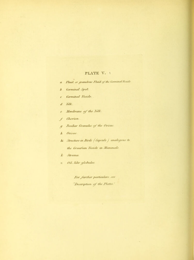 PILATE Y. a Fhud, or pranulous Fluid of the Germinal Vesicle- b Germinal Spot, c Germinal Vesicle, d Telle. e Membrane of the lelk. f Charm re . g 2ecu liar Granules of the Ovisac, h Ovisac. hi Structure ui Jtirds ( Capsule J analogous to the Gr aafian Vesicle ire Mammals. k Stroma. * Oil- like globules. For farther particulars, see “JOescriptiarv f the Flates.