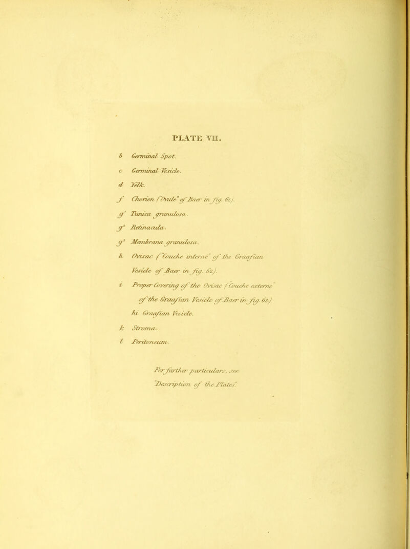 b Germuml Spot, c Germinal Vesicle. «f lelk. J Chorion /Ovale of Baer in fa. C2J. (J' Tunica granulosa. (f Be/ina cula. (j3 Membrana pranulosa. h Ovisac / Couc/ie interne of the Graafian Vesicle o/' Baer irifp. SzJ. 1 Proper Govermp of they Ovisac f Couc/ie eocterne o/' the Graafian Vesicle of Baer inf ip. 6'z.J hi Graafan Vesicle, k Stroma. I Beriton earn. Bor firther particulars, see Description of the Blades'!