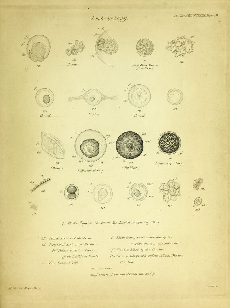 Jresh Water Mussel, f'yrom Girus) WhlL.ltajis. MD CCCXXXIZ!-i?^2^ YUL. 0^' 13Z. / A.. 133. Adorted. 0) 136. Ow'. 141. ^ Xreesote WAer J j39. (Tar Wale/''j 140. (Nitrade ^Siherj will lAe Allures are0'om/ iA JinSiii eiocepi Ai^. At. 149- i'6‘ S) i w 148. IT. Ceritral Tbriton of t/ie treniTy 16^ Teriplieral Tortz'on. of ttie Gemv IT 'Tulure 'vascular .Lamarur f -the l/mh'ilhcaZ Vesicle d . Tel/c-Escaped Telle am. Amnwjh amf' W/uoTi f the. niemhraiies am. andf. f. nuclc tr'orisparenlirierriliraree f'.the- ovaruzn, Ovmii TZona pellucidac'' f'. Mluid mihihed 6y t/ia Choruav Ow. Owitori' suhse^uently 'idllous _ Villous Cho7'U)fv Clw'. Villi' ./](J Aai-. del. Martin Tarry.