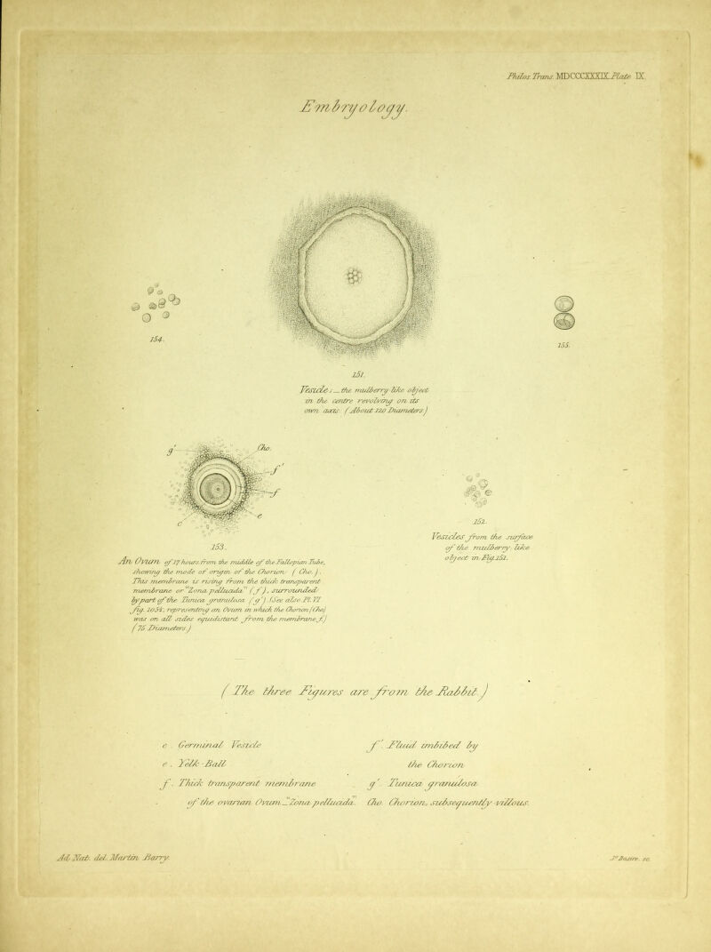1 ihe nuUSerry-H/ce d^ecd Tn tAd centre reyoZvmy o/i its cnvn cures, f^Zoiet J20 IhanieAs^'s.) I- u4?V 0vU77h y'JJ hours. ITOTTVt^ie TTuddle y^tZietalZopian lube, shomry The mode of 07~yuh of fie Chorioru f Oio.j. Thds TTxembrane is riseny from t/ie drzc/c ir-anspa/'ent mernd/'one or Zotiol p€dlzecubr’‘ f^f), surrozended/ ^part^die Tiaiica yrarudosa i^y'J.fSee oZsojFZ.W yiy. 20ft, rep7'esentiny cm. Ouum in ivhicf die OiononfCho) was on ad sides e/puidistant jfr'om die numdraneyi) f 7f JHameiers.J l6Z. Vesicles Jfom die sur/ace oV the mzclln^yy- dice o^eot fn,d^^.i52. TAe lAree J^yi67'es are Jyom. iAe JlaAAtl.^ c . Gerr?u/7a^ Yestcle e . Cel/c -£all- J-. ThicJc t?-anspare7it 7)iemirane of Sie ovarian Oiaim_Zonnpeiiuetda. y. imiiiteS iy f/ie Ciio7'con yiTunira y7'07zu/osa CTw. CCiorio/z, j'uC/se^uanifo yilCous.