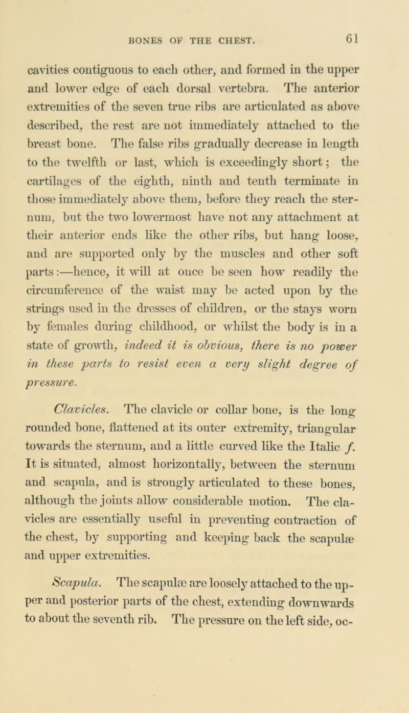 cavities contiguous to each other, and formed in the upper and lower edge of each dorsal vertebra. The anterior extremities of the seven true ribs are articulated as above described, the rest are not immediately attached to the breast bone. The false ribs gradually decrease in length to the twelfth or last, which is exceedingly short; the cartilages of the eighth, ninth and tenth terminate in those immediately above them, before they reach the ster- num, but the two lowermost have not any attachment at their anterior ends like the other ribs, but hang loose, and are supported only by the muscles and other soft parts:—hence, it will at once be seen how readily the circumference of the waist may be acted upon by the strings used in the dresses of children, or the stays worn by females during childhood, or whilst the body is in a state of growth, indeed it is obvious, there is no power in these parts to resist even a very slight degree of pressure. Clavicles. The clavicle or collar bone, is the long rounded bone, flattened at its outer extremity, triangular towards the sternum, and a little curved like the Italic /. It is situated, almost horizontally, between the sternum and scapula, and is strongly articulated to these bones, although the joints allow considerable motion. The cla- vicles are essentially useful in preventing contraction of the chest, by supporting and keeping back the scapulae and upper extremities. Scapula. The scapulae are loosely attached to the up- per and posterior parts of the chest, extending downwards to about the seventh rib. The pressure on the left side, oc-