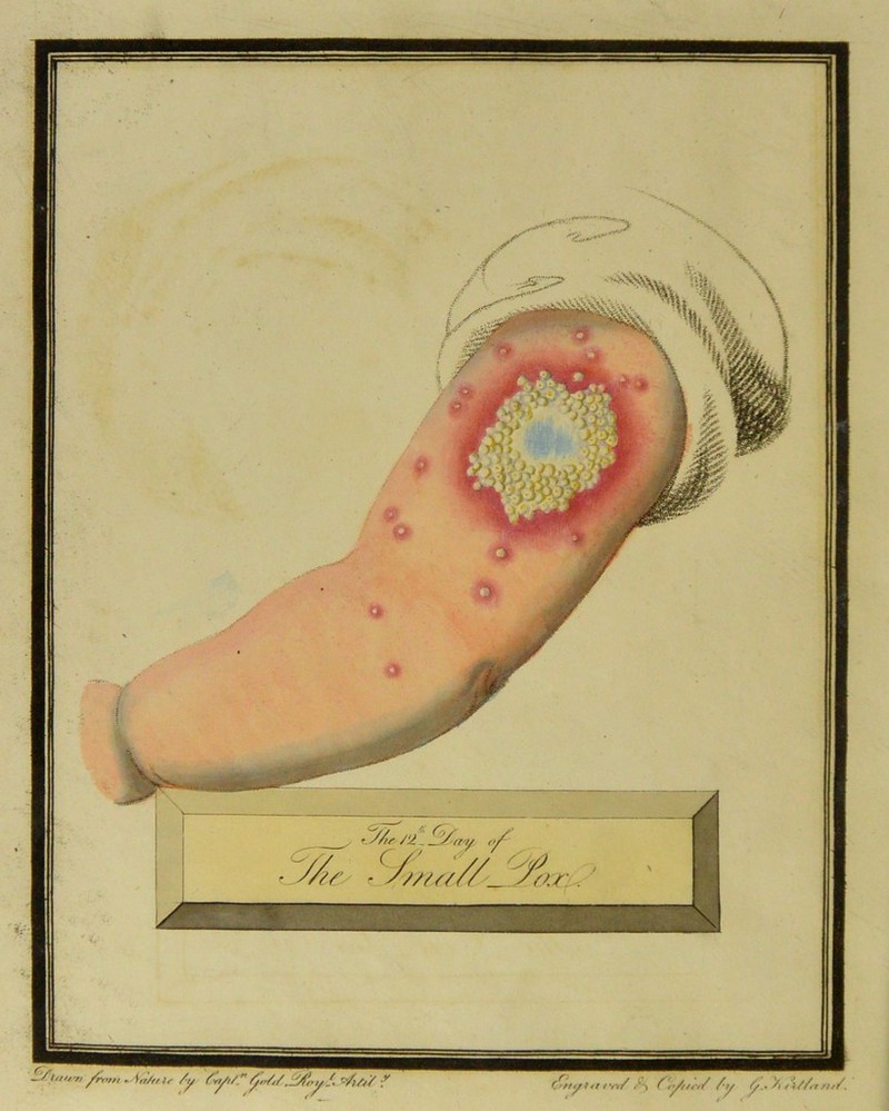 of ■ ■//„ // //u/f/ _ sax.. t frt>>n •Srr/f/ )r /y {vr/t/_  /ytr/</Jffoy /. ^/)/f/ \V * ' r” C'fty* *<rt w/ f fy/tit/ /y f/.* /* A//rr fit/.