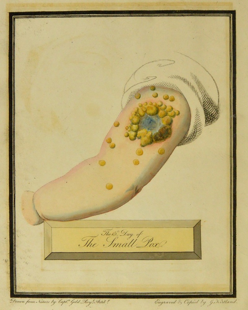 y t^y/ir //). Jj/r/y r y//r r ///U///_y/a/ — Slrrtf’r/ frr’f// . Srf/ffif /-y flyt/” yr'//fY \ (vttyA ft t**t/ »S f /'ty