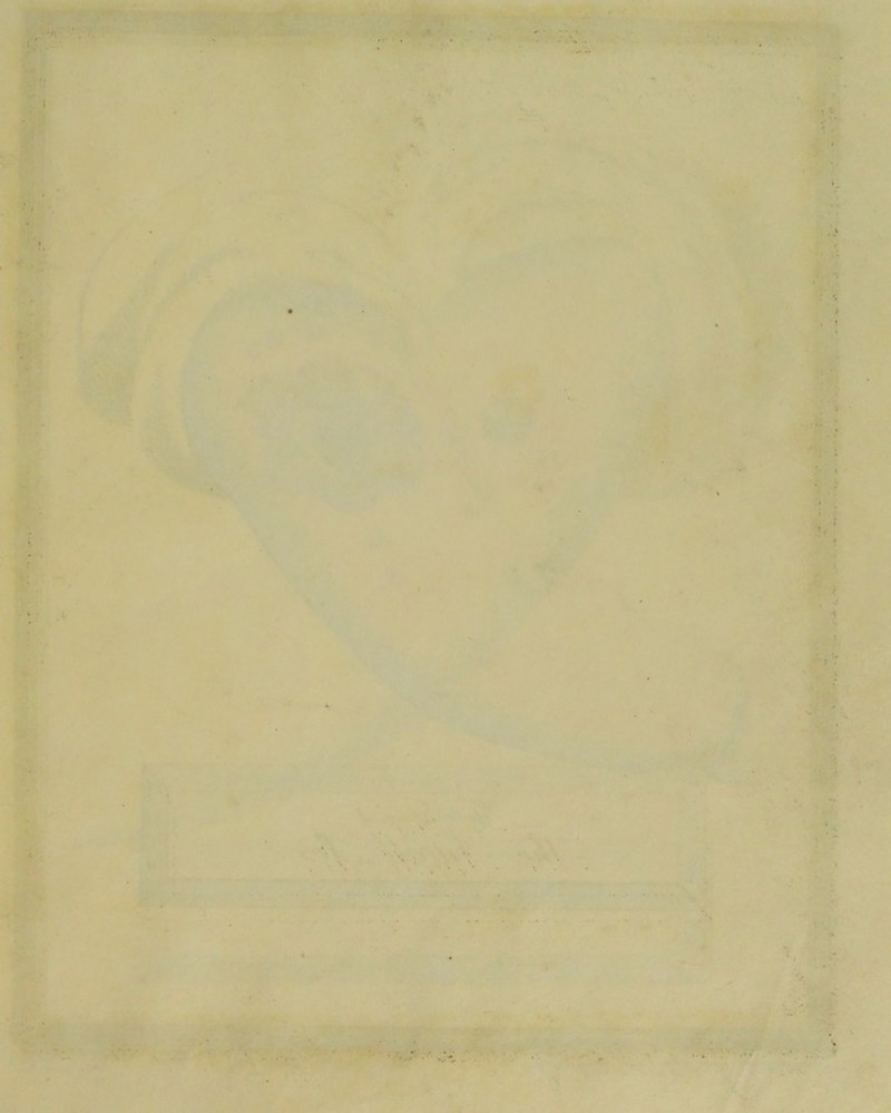 i . * • . ' . 4 •. . ’