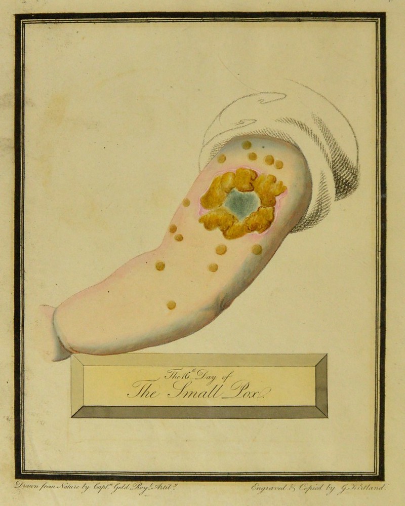 - y//' /C my </ s~ /y . / ' . 0</J nr. iMmUmlii YY tan'n . \tr/ft)r /y Zvryt/” /y/Y/Z. itfoyA r'A/Y t'tty.4tr tiv/ /> f f/t/f (/ Ay % A/Artt</.