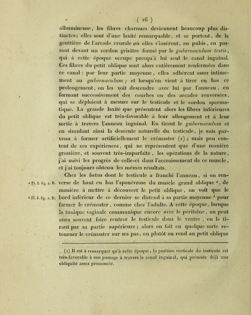 ( '6 ) albumineuse , les fibres charnues deviennent beaucoup plus dis- tinctes; elles sont d’une laxité remarquable, et se portent, de la gouttière de l’arcade crurale pù elles s’insèrent, au pubis, en pas- sant devant un cordon grisâtre formé par le gubernaculum testis, qui à cette époque occupe presqu’à lui seul le canal inguinal. Ces fibres du petit oblique sont alors entièrement renfermées dans ce canal : par leur partie moyenne , elles adhèrent assez intime- ment au gubernaculum j et lorsqu’on vient à tirer en bas ce prolongement, on les yoit descendre avec lui par l’anneau , en formant successivement des courbes ou des arcades renversées, qui se déploient à mesure sur le testicule et le cordon sperma- tique. La grande laxité que présentent alors les fibres inférieures du petit oblique est très-favorable à leur allongement et à leur sortie à travers l’anneau inguinal. En tirant le gubernaculum et en simulant ainsi la descente naturelle du testicule, je suis par- venu à former artificiellement le crémaster (1) ; mais peu con- tent de ces expériences , qui ne représentent que d’une manière grossière, et souvent très-imparfaite, les opérations de la nature, j’ai suivi les progrès de celle-ci dans l’accroissement de ce muscle , et j’ai toujours obtenu les mêmes résultats. Chez les fœtus dont le testicule a franchi l’anneau , si on ren- * pi. i. fig. 2. B. verse de haut en bas l’aponévrose du muscle grand oblique a , de manière à mettre à découvert le petit oblique , on voit que le * Pl. I. Gg. 2. D. bord inférieur de ce dernier se distend à sa partie moyenne b pour former le crémaster, comme chez l’adulte. A cette époque, lorsque la tunique vaginale communique encore avec le péritoine , on peut assez souvent faire rentrer le testicule dans le ventre , en le ti- rant par sa partie supérieure ; alors on fait en quelque sorte re- tourner le crémaster sur ses pas, ou plutôt on rend au petit oblique (i) Il est à remarquer qu’à cette époque, la position verticale du testicule est très-favorable à son passage à travers le canal inguinal, qui présente déjà une obliquité assez prononcée.