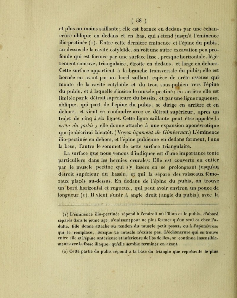 et plus ou moins saillante ; elle est bornée en dedans par une échan- crure oblique en dedans et en bas, qui s’étend jusqu’à l’éminence ilio-pectinée (i). Entre cette dernière éminence et l’épine du pubis, au-dessus de la cavité eotyloïde, on voit une autre excavation peu pro- fonde qui est formée par une surface lisse, presque horizontale , légè- rement concave, triangulaire, étroite en dedans , et large en dehors. Cette surface appartient à la branche transversale du pubis; elle est bornée en avant par un bord saillant, espèce de crête osseuse qui monte de la cavité eotyloïde et du trou sous-pubien vers l’épine du pubis, et à laquelle s’insère le muscle pectiné ; en arrière elle est limitée par le détroit supérieure du bassin, et par une ligne rugueuse, oblique, qui part de l'épine du pubis, se dirige en arrière et en dehors, et vient se confondre avec ce détroit supérieur , après un trajet de cinq à six lignes. Cette ligne saillante peut être appelée la crête du pubis j elle donne attache à une expansion aponévrotique que je décrirai bientôt. (Voyez ligament de Gimbernat.) L’éminence ilio-pectinée en dehors, et l’épine pubienne en dedans forment, l’une la base, l’autre le sommet de cette surface triangulaire. La surface que nous venons d’indiquer est d’une importance toute particulière dans les hernies crurales. Elle est couverte en entier par le muscle pectiné qui s’y insère en se prolongeant jusqu’au détroit supérieur du bassin, et qui la sépare des vaisseaux fémo- raux placés au-dessus. En dedans de l’épine du pubis, on trouve un bord horizontal et rugueux, qui peut avoir environ un pouce de longueur (i). Il vient s’unir à angle droit (angle du pubis) avec la (1) L’éminence ilio-pectinée répond à l’endroit où l’iliun et le pubis, d’abord séparés dans le jeune âge, s’unissent pour ne plus former qu’un seul os chez l’a- dulte. Elle donne attache au tendon du muscle petit psoas, ou à l’aponévrose qui le remplace, lorsque ce muscle n’existe pas. L’échancrure qui se trouve entre elle et l’épine antérieure et inférieure de l’os de îles, se continue insensible- ment avec la fosse iliaque, qu’elle semble terminer en avant. (a) Cette partie du pubis répond à la base du triangle que représente le plus