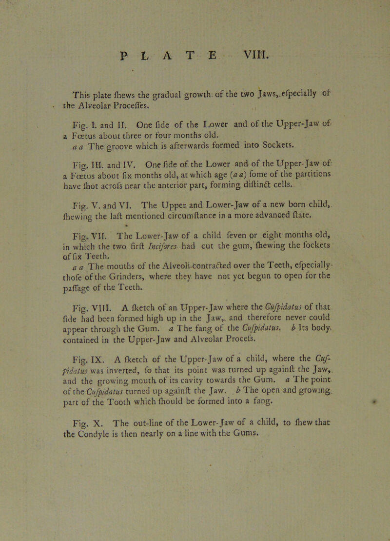 This plate diews the gradual growth of the two Jaws,, efpeciaily of the Alveolar Procefles. Fig. I. and II. One fide of the Lower and of the Upper-Jaw of a Foetus about three or four months old. a a The groove which is afterwards formed into Sockets. Fig. III. and IV. One fide of the Lower and of the Upper-Jaw of a Foetus about fix months old, at which age {a a) lome of the partitions have fhot acrofs near the anterior part, forming didinft cells. Fig. V. and VI. The Upper and Lower-Jaw of a new born child, fhewing the lad mentioned circumdance in a more advanced date. • Fig. VII. The Lower-Jaw of a child feven or eight months old, in which the two fird Incifores had cut the gum, Ihewing the fockets of fix Teeth. a a The mouths of the Alveolicontra&cd over the Teeth, efpeciaily thofe of the Grinders, where they have not yet begun to open for the padage of the Teeth. Fig. VIII. A fketch of an Upper-Jaw where the Cufpidatus of that, fide had been formed high up in the Jaw,, and therefore never could appear through the Gum. a The fang of the Cufpidatus. b Its body, contained in the Upper-Jaw and Alveolar Procels. Fig. IX. A fketch of the Upper-Jaw of a child, where the Cuf- pidatus was inverted, fo that its point was turned up againd the Jaw, and the growing mouth, of its cavity towards the Gum. a The point of the Cufpidatus turned up againd the Jaw. b The open and growing, part of the Tooth which fliould be formed into a fang. Fie. X. The out-line of the Lower- faw of a child, to Ihew that the Condyle is then nearly on a line with the Gums.