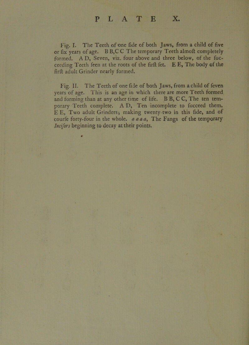 Fig. I. The Teeth of one fide of both Jaws, from a child of five or fix years of age. B B,C C The temporary Teeth almoft completely formed. AD, Seven, viz. four above and three below, of the fuc- ceeding Teeth feen at the roots of the firft fet. E E, The body of the firfl adult Grinder nearly formed. Fig. II. The Teeth of one fide of both Jaws, from a child of feven years of age. This is an age in which there are more Teeth formed and forming than at any other time of life. B B, C C, The ten tem- porary Teeth complete. A D, Ten incomplete to fucceed them. EE, Two adult Grinders; making twenty-two in this fide, and of courfe forty-four in the whole, aaaa, The Fangs of the temporary Incifors beginning to decay at their points.