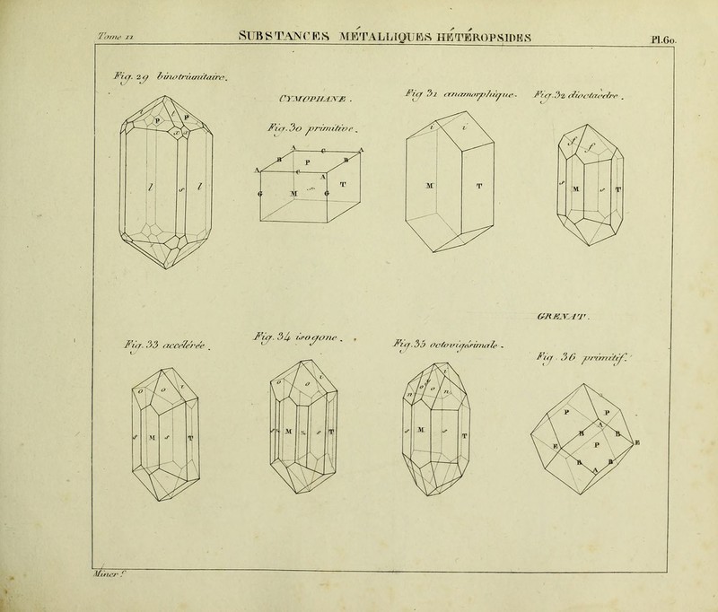 Fùy. .3,3 accélérée l Fày. ?>/p û-otycme , Fjty. ,3,5 Ocfovajérimale ORJEÆA'V. l'a J ■ 3 0 f>nrrtr/iy'. Mine?' T