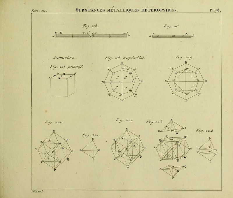 JJ1 . r' To?ne Substances métalliques heteropsides. 1*1.78. . 2ji â. A Fx.(j. vifi. V I A I *