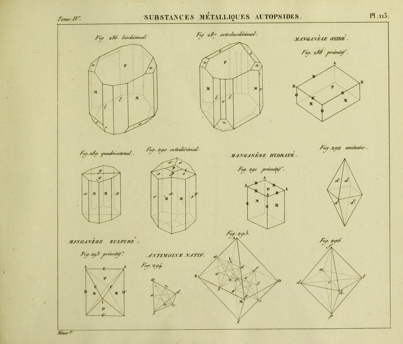 Fiy. 2/I<r/ yi/adri-ticù>7w./ . Fiy. 240 ocfodébirsi^z/s MANG^NESE m'ERATE . 292 i/mïazre- ■ Vmrr ?’