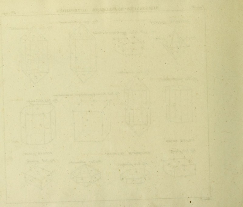 : , Vi ■ . - ' \ : - y.\ \ i t y ■ . .. • - ■