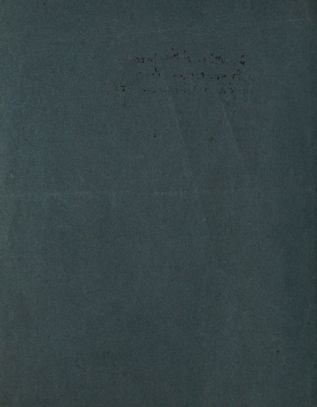 digitised image 2