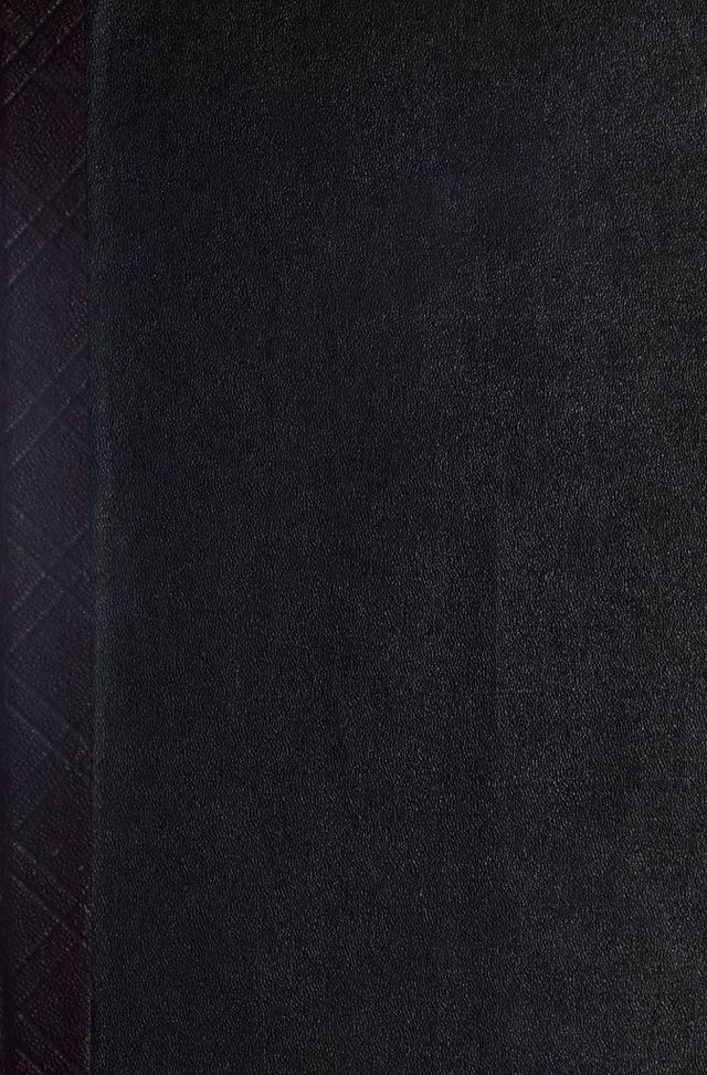 digitised image 1