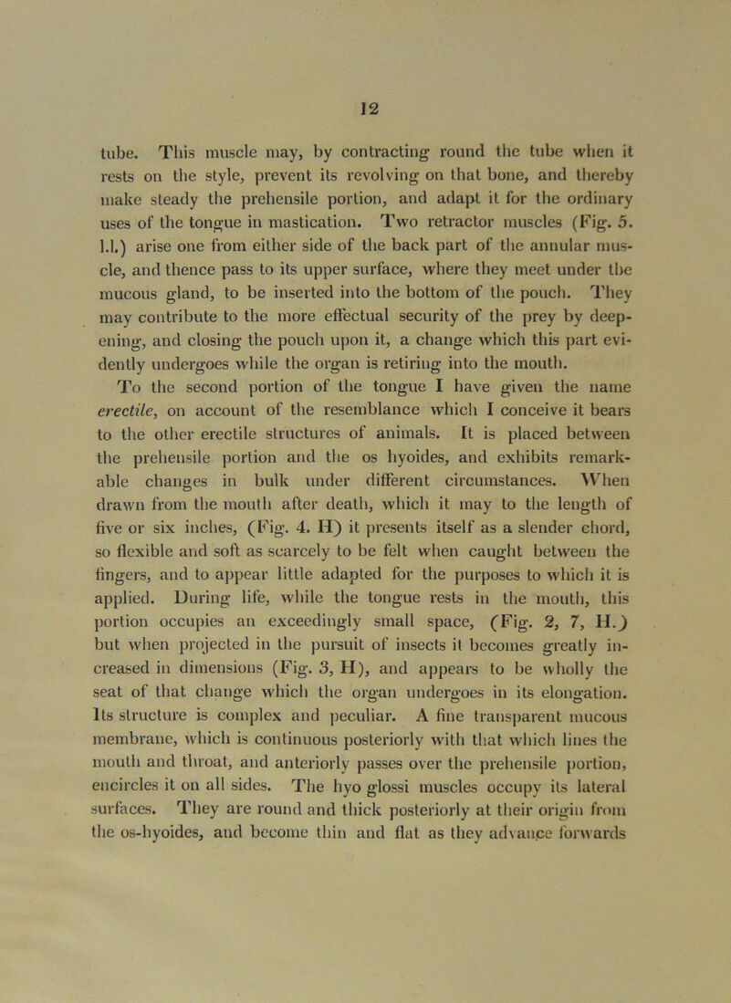 tube. This muscle may, by contracting round the tube when it rests on the style, prevent its revolving on that bone, and thereby make steady the prehensile portion, and adapt it for the ordinary uses of the tongue in mastication. Two retractor muscles (Fig. 5. 1.1.) arise one from either side of the back part of the annular mus- cle, and thence pass to its upper surface, where they meet under the mucous gland, to be inserted into the bottom of the pouch. They may contribute to the more effectual security of the prey by deep- ening, and closing the pouch upon it, a change which this part evi- dently undergoes while the organ is retiring into the mouth. To the second portion of the tongue I have given the name erectile, on account of the resemblance which I conceive it bears to the other erectile structures of animals. It is placed between the prehensile portion and the os hyoides, and exhibits remark- able changes in bulk under different circumstances. ^Vhen drawn from the mouth after death, which it may to the length of five or six inches, (Fig. 4. H) it presents itself as a slender chord, so flexible and soft as scarcely to be felt when caught between the fingers, and to appear little adapted for the purposes to which it is applied. During life, while the tongue rests in the mouth, this portion occupies an exceedingly small space, (Fig. 2, 7, but when projected in the pursuit of insects it becomes greatly in- creased in dimensions (Fig. 3, H), and appears to be wholly the seat of that change w'hich the organ undergoes in its elongation. Its structure is complex and peculiar. A fine transparent mucous membrane, which is continuous posteriorly with that which lines the mouth and throat, and anteriorly passes over the prehensile portion, encircles it on all sides. The hyo glossi muscles occupy its lateral surfaces. They are round and thick posteriorly at their origin from the os-hyoides, and become thin and flat as they advance forwards