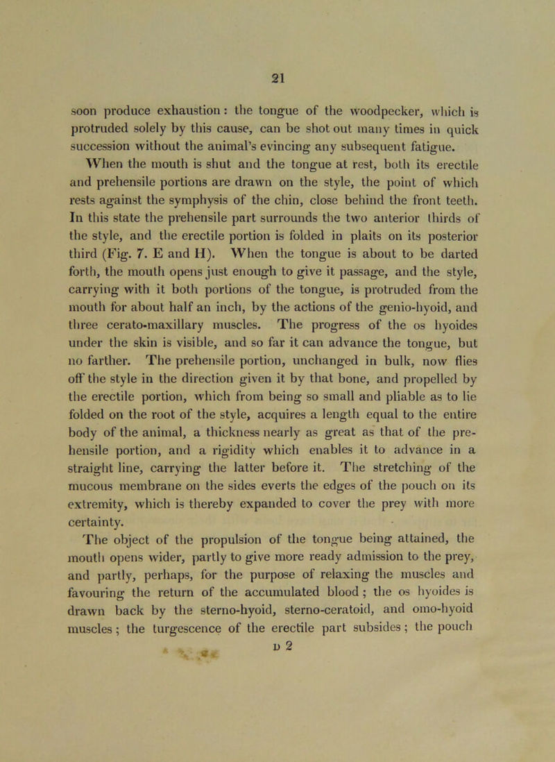 soon produce exhaustion: the tongue of the woodpecker, whicli is protruded solely by this cause, can be shot out many times in quick succession without the animal’s evincing any subsequent fatigue. ■SVlien the mouth is shut and the tongue at rest, both its erectile and prehensile portions are drawn on the style, the point of which rests against the symphysis of the chin, close behind the front teeth. In this state the prehensile part surrounds the two anterior thirds of the style, and the erectile portion is folded in plaits on its posterior third (Fig. 7. E and H). When the tongue is about to be darted forth, the mouth opens just enough to give it passage, and the style, carrying with it both portions of the tongue, is protruded from the mouth for about half an inch, by the actions of the genio-hyoid, and three cerato-maxillary muscles. The progress of the os hyoides under the skin is visible, and so far it can advance the tongue, but no farther. The prehensile portion, unchanged in bulk, now flies off the style in the direction given it by that bone, and propelled by the erectile portion, which from being so small and pliable as to lie folded on the root of the style, acquires a length equal to the entire body of the animal, a thickness nearly as great as that of the pre- hensile portion, and a rigidity which enables it to advance in a straight line, carrying the latter before it. The stretching of the mucous membrane on the sides everts the edges of the pouch on its extremity, which is thereby expanded to cover the prey with more certainty. The object of the propulsion of tlie tongue being attained, the moutli opens wider, partly to give more ready admission to the prey, and ])artly, perhaps, for the purpose of relaxing the muscles and favouring the return of the accumulated blood ; the os liyoides is drawn back by the sterno-hyoid, sterno-ceratoid, and omo-hyoid muscles; the turgescence of the erectile part subsides; the pouch