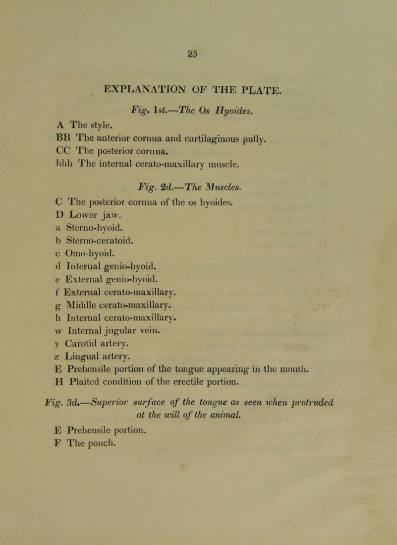EXPLANATION OF THE PLATE. Fig, —The Os Hyaides. A The style. BB Tlie anterior cornua and cartilaginous pully. CC The posterior cornua. lihli The internal cerato-maxillary muscle. Fig. 2d.—The Muscles. C The posterior cornua of the os liyoides. D Lower jaw. a Sterno-hyoid. b Sterno-ceratoid. c Omo-hyoid, d Internal genio-hyoid. e External genio-hyoid. f External cerato-maxillary. g Middle cerato-maxillary. - - h Internal cerato-maxillary. w Internal jugular vein, y Carotid artery, z Lingual artery. E Prehensile portion of the tongue appearing in the mouth. H Plaited condition of the erectile portion. Fig. 3d,—Superior surface of the tongue as seen ivhen protruded at the will of the animal. E Prehensile portion. F The pouch.