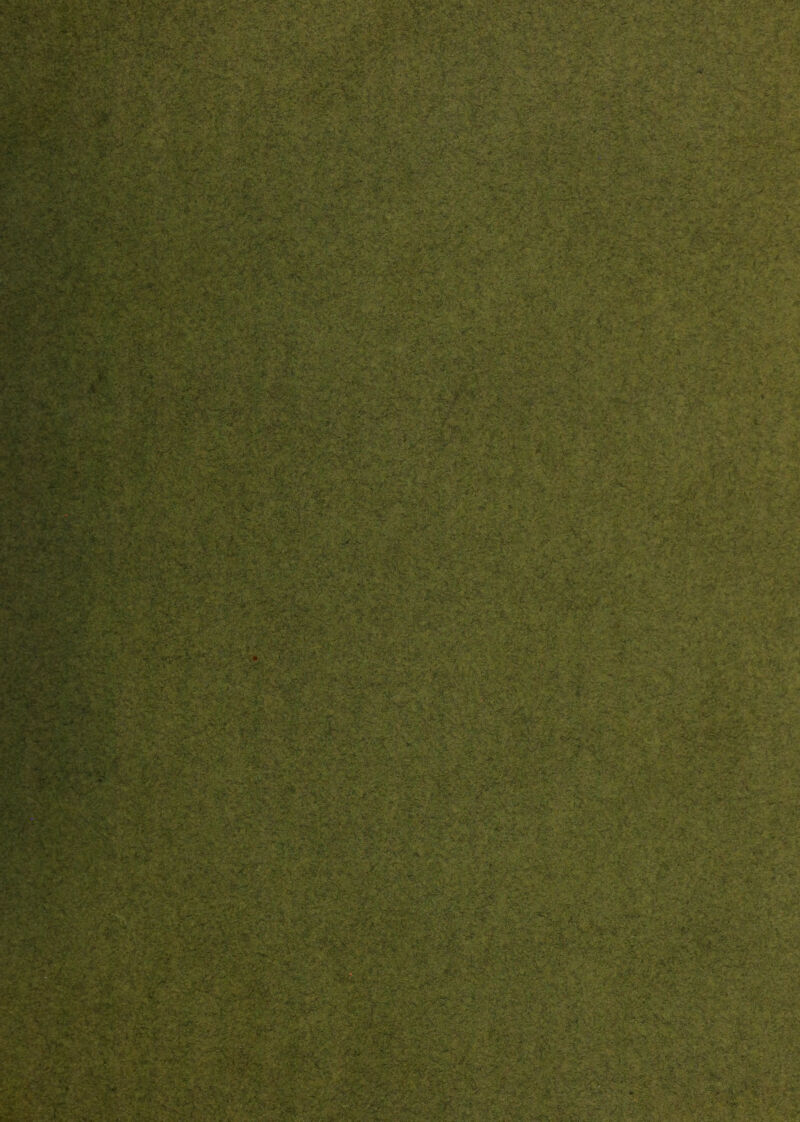 r ^ H^-,v O' ■ >', ’ ’1 ^ 'iy~f'' , »»■ , ■f :•■ , •. ,;^ • ■ '. ■:- y -il-x ' ■ yt-' . Y ^.%rt yM ’ * .'it > . -''.V -’■-V -_,v.>,Vi ,; s-^ _*;? i,y:y ^.- ..^- . . ' vf*. .-JW. >*V ^ -.i ' ^'i;' • ■ -'. > *r.‘? > i,v^-*.-.»-w’;r^ ►*;‘^’*; 'ra^ ^ .•:''C '- f'*.. •*'' -;V 7--' a ^ ^ n' »•* *'’ ''^V r''- V i‘< c^