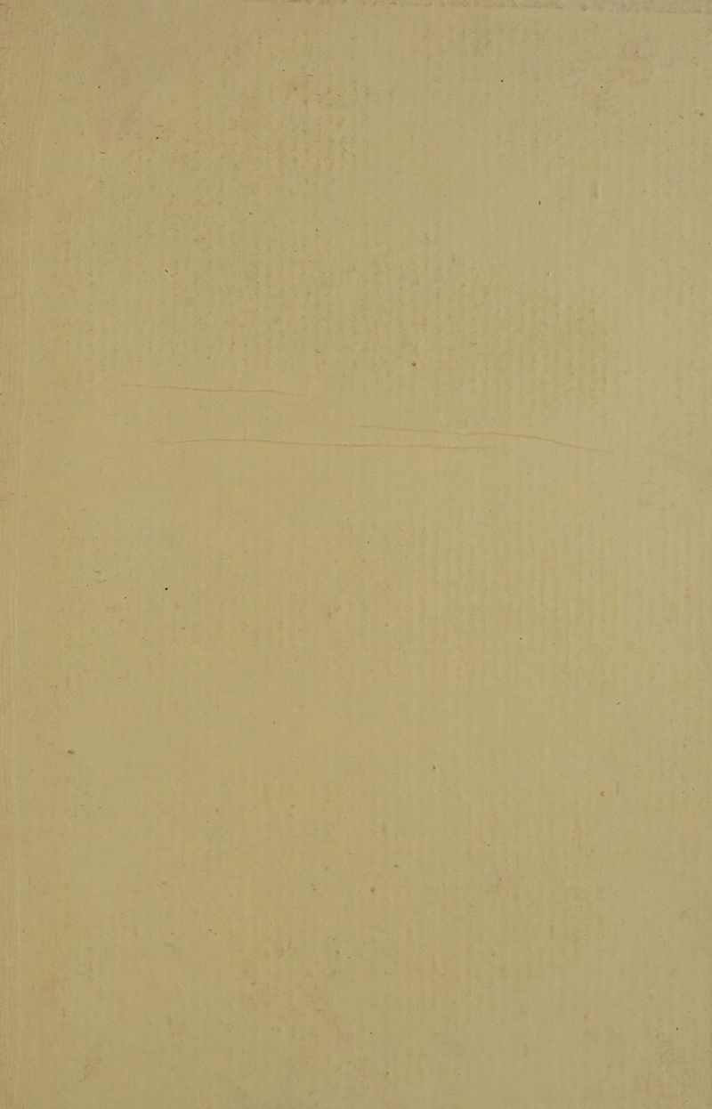 Ne Ce et yo ha ee oS Ge ein lay ey BEC fit Mgt SelM OR ER et uh epee ae Mais on ae ns Me OES by hi y etn CT a ; 2° hs TS Porat ana ey igcaads “ait a E ane PE ete el ee aay oe oe, “gi afin. a a = ns a ate Jee? ir ee stp ed ig ' ae . ” 29 per eh pte Pt tn