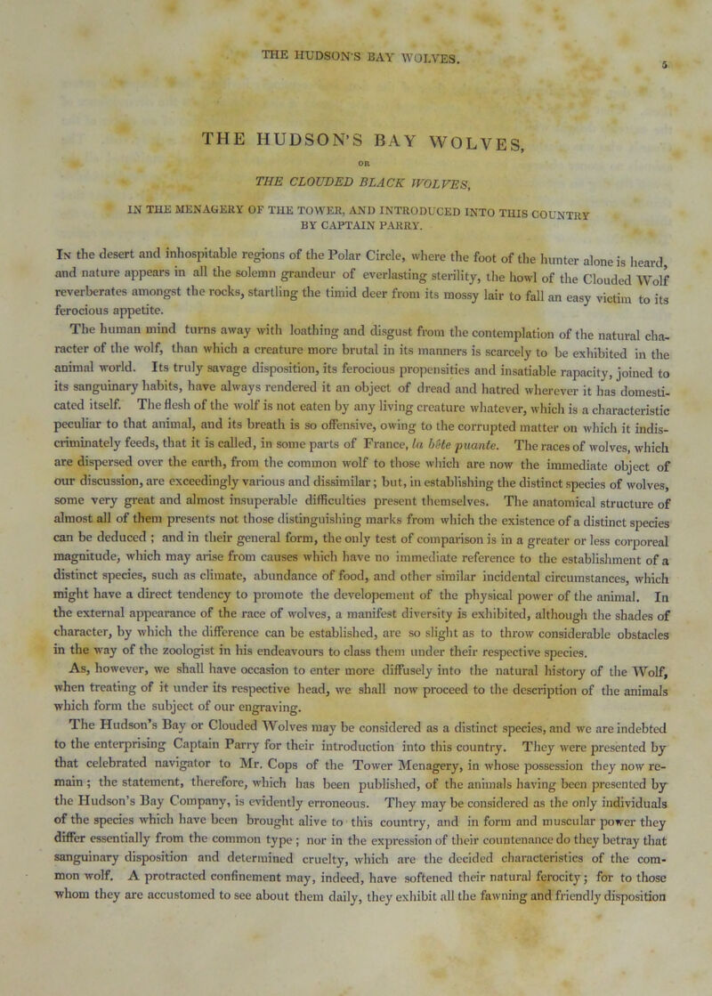 THE HUDSON S BAY WOLVES. 5 THE HUDSON’S BAY WOLVES, OR THE CLOUDED BLACK WOLVES, IN THE MENAGERY OF THE TOWER, AND INTRODUCED INTO THIS COUNTRY BY CAPTAIN PARRY. In the desert and inhospitable regions of the Polar Circle, where the foot of the hunter alone is heard, and nature appears in all the solemn grandeur of everlasting sterility, the howl of the Clouded Wolf reverberates amongst the rocks, startling the timid deer from its mossy lair to fall an easy victim to its ferocious appetite. The human mind turns away with loathing and disgust from the contemplation of the natural cha- racter of the wolf, than which a creature more brutal in its manners is scarcely to be exhibited in the animal world. Its truly savage disposition, its ferocious propensities and insatiable rapacity, joined to its sanguinary habits, have always rendered it an object of dread and hatred wherever it has domesti- cated itself. The flesh of the wolf is not eaten by any living creature whatever, which is a characteristic peculiar to that animal, and its breath is so ofiensive, owing to the corrupted matter on which it hidis- criminately feeds, that it is called, in some parts of France, la hete puante. The races of wolves, which are dispersed over the earth, from the common wolf to those which are now the immediate object of our discussion, are exceedingly various and dissimilar; but, in establishing the distinct species of wolves, some very great and almost insuperable difficulties present themselves. The anatomical structure of almost all of them presents not those distinguishing marks from which the existence of a distinct species can be deduced ; and in their general form, the only test of compai-ison is in a greater or less corporeal magnitude, which may arise from causes which have no immediate reference to the establishment of a distinct species, such as climate, abundance of food, and other similar incidental circumstances, which might have a direct tendency to promote the developement of the physical power of the animal. In the external appearance of the race of wolves, a manifest diversity is exhibited, althougli the shades of character, by which the difference can be established, are so slight as to throw considerable obstacles in the w'ay of the zoologist in his endeavours to class them under their respective species. As, however, we shall have occasion to enter more diffusely into the natural history of the Wolf, when treating of it under its respective head, w'e shall now proceed to the description of the animals which form the subject of our engraving. The Hudson’s Bay or Clouded Wolves may be considered as a distinct species, and we are indebted to the enterprising Captain Parry for their introduction into this country. They were presented by that celebrated navigator to Mr. Cops of the Tower Menagery, in whose possession they now re- main ; the statement, therefore, which has been published, of the animals having been presented by the Hudson’s Bay Company, is evidently erroneous. They may be considered as the only individuals of the species which have been brought alive to this country, and in form and muscular power they differ essentially from the common type; nor in the expression of their countenance do they betray that sanguinary disposition and determined cruelty, which are the decided characteristics of the com- mon wolf. A protracted confinement may, indeed, have softened their natural ferocity; for to those whom they are accustomed to see about them daily, they exhibit all the fawning and friendly disposition