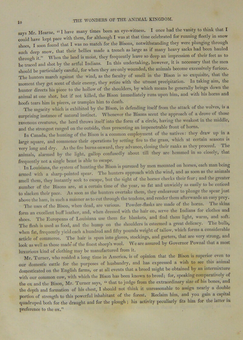 says Mr. Hearne, “ I have many times been an eye-witness. I once had the vanity to think that I could have kept pace with them, for although I was at that time celebrated for running fleetly in snow shoes, I soon found that I was no match for the Bisons, notwithstanding they were plunging through such deep snow, that their bellies made a trench as large as if many heavy sacks had been hauled through it.” When the land is moist, they frequently leave so deep an impression of their feet as to be traced and shot by the artful Indians. In this undertaking, however, it is necessary that the men should be particularly careful, for when they are only wounded, the animals become excessively furious. The hunters march against the wind, as the faculty of smell in the Bison is so exquisite, that the moment they get scent of their enemy, they retire with the utmost precipitation. In taking aim, the hunter directs his piece to the hollow of the shoulders, by which means he generally brinp down the animal at one shot, but if not killed, the Bison immediately runs upon him, and with his horns and hoofs tears him in pieces, or tramples him to death. The sagacity which is exhibited by the Bison, in defending itself from the attack of the wolves, is a surprising’instance of natural instinct. Whenever the Bisons scent the approach of a drove of those ravenous creatures, the herd throws itself into the form of a circle, having the weakest in the middle, and the strongest ranged on the outside, thus presenting an impenetrable front of horns. In Canada, the hunting of the Bison is a common employment of the natives: they draw up in a large square, and commence their operations by setting fire to the grass, which at certain seasons is very long and dry. As the fire burns onward, they advance, closing their ranks as they proceed. The animals, alarmed by the light, gallop confusedly about till they are hemmed in so closely, that frequently not a single beast is able to escape. In Louisiana, the system of hunting the Bison is pursued by men mounted on horses, each man being armed with a sharp-pointed spear. The hunters approach with the wind, and as soon as the animals smell them, they instantly seek to escape, but the sight of the horses checks their fear; and the greater number of the Bisons are, at a certain time of the year, so fat and unwieldy as easily to be enticed to slacken their pace. As soon as the hunters overtake them, they endeavour to plunge the spear just above the ham, in such a manner as to cut through the tendons, and render them afterwards an easy piey. Tlie uses of the Bison, when dead, are various. Powder-flasks are made of the horns. The skins form an excellent bull’leather, and, when dressed with the hair on, serve the Indians for clothes and shoes. The Europeans of Louisiana use them for blankets, and find them light, warm, and soft. The flesh is used as food, and the hump on the shoulders is esteemed a great delicacy. The bulls, when fat, frequently yield each a hundred and fifty pounds weight of tallow, which forms a considerable article of commerce. The hair is spun into gloves, stockings, and garters, that are very strong, and look as well as those made of the finest sheep’s wool. We are assured by Governor Powiial that a most luxurious kind of clothing may be manufactured from it. Mr. Turner, who resided a long time in America, is of opinion that the Bison is superior even to our domestic cattle for the purposes of husbandry, and has expressed a wish to see this animal domesticated on the English farms, or at all events that a breed might be obtained by an intermixture with our common cow, with which the Bison has been known to breed; for, speaking comparatively of the ox and the Bison, Mr. Turner says, “ that to judge from the extraordinary size of his bones, and the depth and formation of his chest, I should not think it unreasonable to assign nearly a double portion of strength to this powerful inhabitant of the forest. Reclaim him, and you gain a capital quadruped both for the draught and for the plough ; his activity peculiarly fits him for the latter in preference to the ox.”