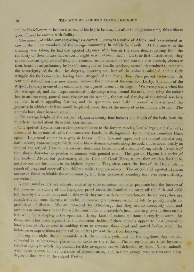 1» induce his followers to believe that one of his legs is broken, but after running some time, this stiffness goes off, and he escapes with facility. The animal, of which our engraving is a correct likeness, is a native of Africa, and is considered as one of tlie oldest members of the savage community in which he dwells. At the time when the drawing was taken, he had two spotted Hyaenas with him in the same den, supposing from the similarity of their nature that concord might exist between them. On their first introduction, they shewed evident symptoms of fear, and crouched in the corners or ran into the den beneath, whenever their ferocious acquaintance, by his hideous yells or hostile motions, seemed determined to maintain the sovereignty of the den: by degrees, however, the fear of the animals subsided, and in their struggle for the bones, after having been stripped of the flesh, they often proved victorious. A continual state of warfare now ensued between the inmates of the den, and Darby, (the name of the striped Hyaena,) in one of his encounters, was injured in one of his legs. We were present when his den was opened, and the keeper succeeded in throwing a rope round his neck, and tying the animal fast to an iron ring, poured some vinegar on the wound ; the natural ferocity of the animal was here exhibited in all its apjialling features, and the spectators were fully impressed with a sense of the jeopardy in which their lives would be placed, were they at the mercy of so formidable a brute. The animals have since been separated. The average heiglit of the striped Hymna is twenty-four inches ; the length of the body from the muzzle to the tail about three feet, four inches. The spotted Hyaena bears a strong resemblance to the former species, but is larger, and the body, instead of being marked with the transverse bands, is distinguished by numerous roundish black spots. Its general colour is a greyish brown. The face and upper part of the head are of a very dark colour, approaching to black, and a blackish mane extends along the neck, but is not so bristly as that of the striped Hysena ; its ears are short and broad, and of a circular form, which divests it of that sharp character so peculiar to animals with pointed ears. The spotted Hymna is a native of the South of Africa, but particularly of the Cape of Good Hope, where they are described to be mischievous and formidable in the highest degree. They often enter the huts of the Hottentots in search of prey, and carry off the children whilst they are asleep. The striped and spotted Hya?nas are never found to inhabit the same country, but their territorial boundary has never been distinctly ascertained. A great number of these animals, excited by their rapacious appetite, penetrate into the interior of the towns in the vicinity of the Cape, and prowl about the shambles to carry off the filth and oflal left there by the inhabitants, and in this work they meet with no molestation, on the contrary, they are considered, in some degree, as useful, in removing a nuisance, which if left to putrify might be productive of disease. We are informed by Thunberg, that they are so excessively bold and ravenous as sometimes to eat the saddle from under the traveller’s head, and to gnaw the shoes on his feet while he is sleeping in the open air. Every kind of animal substance is eagerly devoured by them, and it has been argued that the rapacious habits of these animals appear to be a benevolent interference of Providence, in enabling them to consume those dead and putrid bodies, which the indolence or superstitious customs of the natives prevent them from burying. During ihc night the air resounds with their horrid yells, but in the day-time they remain concealed in subterranean jilaces, or in caves in the rocks. The sheep-folds are their favourite resort at night, in which they commit tendble ravages unless well defended by dogs. These animals were never knowti to live in a state of domestication, and in their savage state iiosscss even a less degree of docility than the striped Hymna.