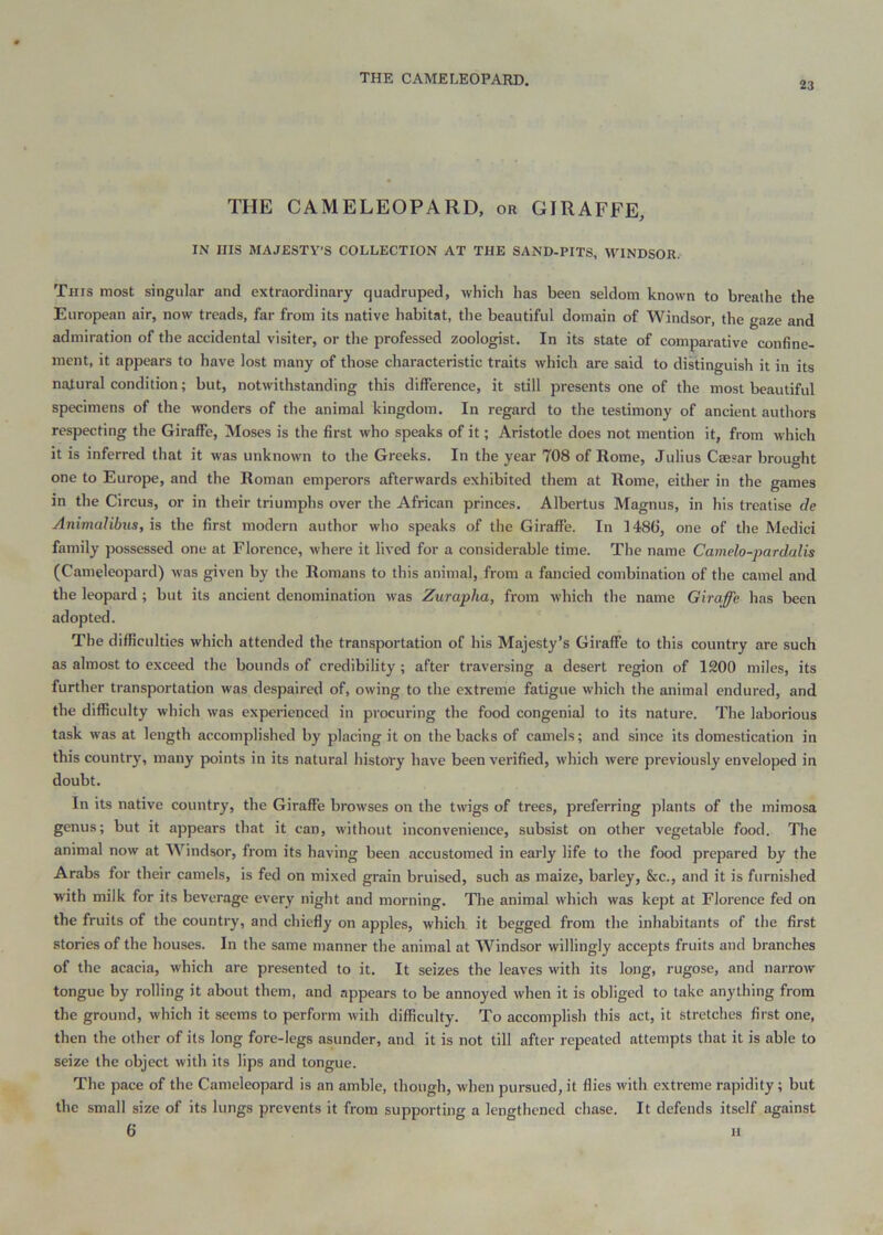 THE CAMELEOPARD. 23 THE CAMELEOPARD, or GIRAFFE, IN Ills MAJESTY’S COLLECTION AT THE SAND-PITS, WINDSOR. This most singular and extraordinary quadruped, which has been seldom known to breathe the European air, now treads, far from its native habitat, the beautiful domain of Windsor, the gaze and admiration of the accidental visiter, or the professed zoologist. In its state of comparative confine- ment, it appears to have lost many of those characteristic traits which are said to distinguish it in its natural condition; but, notwithstanding this difference, it still presents one of the most beautiful specimens of the wonders of the animal kingdom. In regard to the testimony of ancient authors respecting the Giraffe, Moses is the first who speaks of it; Aristotle does not mention it, from which it is inferred that it was unknown to the Greeks. In the year 708 of Rome, Julius Caesar brought one to Europe, and the Roman emperors afterwards exhibited them at Rome, either in the games in the Circus, or in their triumphs over the African princes. Albertus Magnus, in his treatise de Animalibus, is the first modern author who speaks of the Giraffe. In ]48(i, one of the Medici family possessed one at Florence, where it lived for a considerable time. The name Canielo-pardalis (Camelcopard) was given by the Romans to this animal, from a fancied combination of the camel and the leopard ; but its ancient denomination was Zurapha, from which the name Giraffe has been adopted. The difficulties which attended the transportation of his Majesty’s Giraffe to this country are such as almost to exceed the bounds of credibility ; after traversing a desert region of 1200 miles, its further transportation was despaired of, owing to the extreme fatigue which the animal endured, and the difficulty which was experienced in procuring the food congenial to its nature. The laborious task was at length accomplished by placing it on the backs of camels; and since its domestication in this country, many points in its natural history have been verified, which were previously enveloped in doubt. In its native country, the Giraffe browses on the twigs of trees, preferring plants of the mimosa genus; but it appears that it can, without inconvenience, subsist on other vegetable food. The animal now at Windsor, from its having been accustomed in early life to the food prepared by the Arabs for their camels, is fed on mixed grain bruised, such as maize, barley, &c., and it is furnished with milk for its beverage every night and morning. The animal which was kept at Florence fed on the fruits of the country, and chiefly on apples, which it begged from the inhabitants of the first stories of the houses. In the same manner the animal at Windsor willingly accepts fruits and branches of the acacia, which are presented to it. It seizes the leaves with its long, rugose, and nai-row tongue by rolling it about them, and appears to be annoyed when it is obliged to take anything from the ground, which it .seems to perform with difficulty. To accomplish this act, it stretches first one, then the other of its long fore-legs asunder, and it is not till after repeated attempts that it is able to seize the object with its lips and tongue. The pace of the Camcleopard is an amble, though, when pursued, it flies with extreme rapidity ; but the small size of its lungs prevents it from supporting a lengthened chase. It defends itself against 6 11