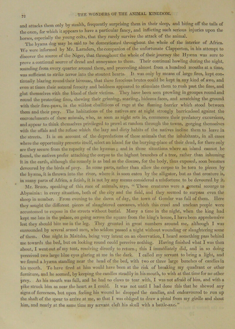and attacks them only by stealth, frequently surprising them in their sleep, and biting off the tails of the oxen, for which it appears to have a particular fancy, and inflicting such serious injuries upon the horses, especially the young colts, that they rarely survive the attack of the animal. The hy£Bna dog may be said to be domesticated throughout the whole of the interior of Africa. We were informed by Mr. Larnders, the companion of the unfortunate Clapperton, in his attempt to discover the source of the Niger, that throughout the whole of their journey the Hya?na was sure to prove a continual source of dread and annoyance to them. Their continual howling during the night, sounding from every quarter around them, and proceeding almost from a hundred mouths at a time, was sufficient to strike terror into the stoutest hearts. It was only by means of large fires, kept con- tinually blazing round their bivouac, that these ferocious brutes could be kept in any kind of awe, and even at times their natural ferocity and boldness appeared to stimulate them to rush past the fires, and glut themselves with the blood of their victims. They have been seen prowling ingroupes round and round the protecting fires, shewing their grinning, snarling, hideous faces, and scratching the ground with their fore-paws, in the wildest ebullitions of rage at the flaming barrier which stood between them and their prey. The habitations of the natives are at night strongly barricadoed against the encroachments of these animals, who, as soon as night sets in, commence their predatory excursions, and appear to think themselves privileged to prowl at random through the towns, gorging themselves with the offals and tlie refuse which the lazy and dirty habits of the natives incline them to leave in the streets. It is on account of the depredations of these animals that the inhabitants, in all cases where the opportunity presents itself, select an island for the burying-place of their dead, for there only ai'c they secure from the rapacity of the hycenas ; and in those situations where an island cannot be found, the natives prefer attaching the corp.se to the highest branches of a tree, rather than inhuming it in the earth, although the remedy is as bad as the disease, for the body, thus exposed, soon becomes devoured by the birds of prey. In some parts, rather than allow the corpse to be torn to pieces by the hymna, it is thrown into the river, where it is soon eaten by the {illigator, but as that creature is, in many parts of Africa, a fetish, it is not by any means considered a misfortune to be devoured by it. Mr. Ilruce, speaking of this race of animals, says, “ These creatures were a general scourge to Abyssinia; in every situation, both of the city and the field, and they seemed to surpass even the sheep in number. From evening to the dawn of day, the town of Gondar was full of them. Here they sought the different pieces of slaughtered cai'casses, which this cruel and unclean people were accustomed to expose in the streets without burial. Many a time in the night, when the king had kept me late in the palace, ongoing across the square from the king’s house, I have been apprehensive lest they should bite me in the leg. They grunted in great numbers around me, although I was surrounded by several armed men, who seldom passed a night without wounding or slaughtering some of them. One night in Maitsha, being very intent on an observation, I heard something pass behind me towards the bed, but on looking round could perceive nothing. Having finished what I was then about, I went out of my tent, resolving directly to return ; this I immediately did, and in so doing perceived two large blue eyes glaring at me in the dark. I called my servant to bring a light, and we found a hyaena standing near the head of the bed, with two or three large bunches of candles in his mouth. To have fired at him would have been at the risk of breaking my quadrant or other furniture, and he seemed, by keeping the candles steadily in his mouth, to wish at that time for no other prey. As his mouth was full, and he had no claws to tear with, I was not afraid of him, and with a pike struck him as near the heart as I could. It was not until I had done this that he shewed any signs of fierceness, but upon feeling his wound he dropped the candle.s, and endeavoured to run up the shaft of the spear to arrive at me, so that I was obliged to draw a pistol from my girdle and shoot him, and nearly at the same time my servant cleft his skull with a battle-axe. ”