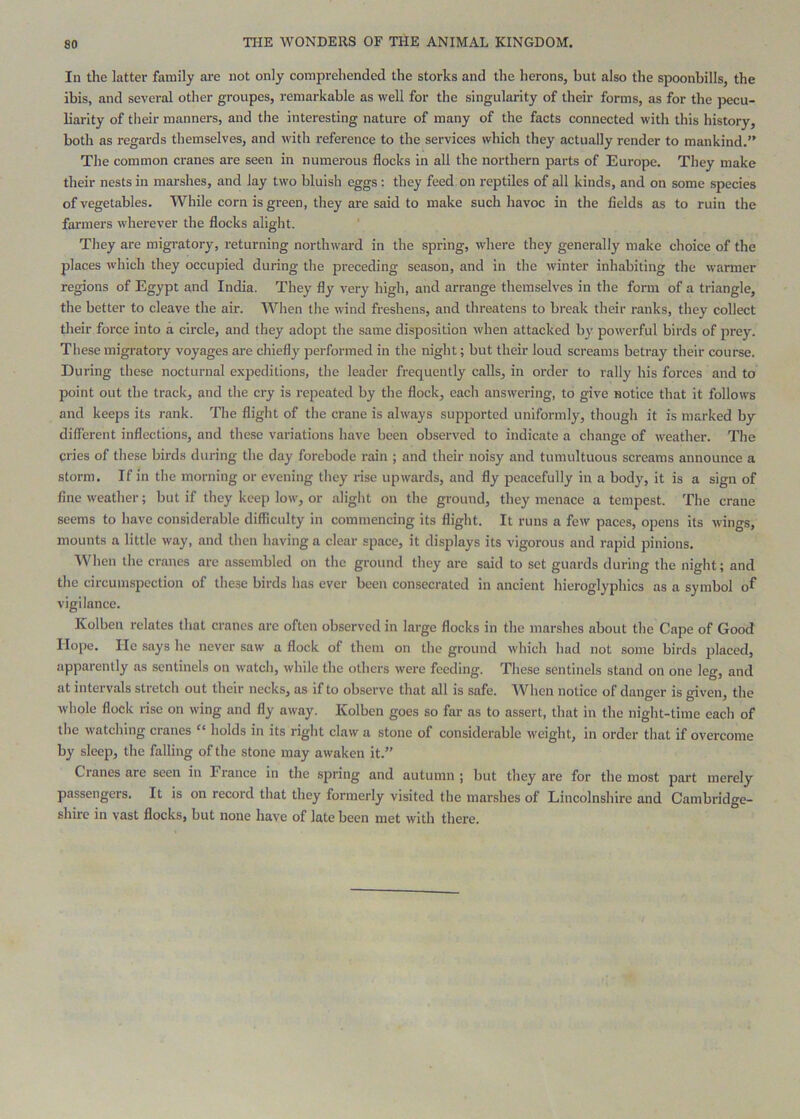 In the latter family ai'e not only comprehended the storks and the herons, but also the spoonbills, the ibis, and several other groupes, remarkable as well for the singularity of their forms, as for the pecu- liarity of their manners, and tlie interesting nature of many of the facts connected with this history, both as regards themselves, and with reference to the services which they actually render to mankind.” The common cranes are seen in numerous flocks in all the northern parts of Europe. They make their nests in marshes, and lay two bluish eggs; they feed on reptiles of all kinds, and on some species of vegetables. While corn is green, they are said to make such havoc in the fields as to ruin the farmers wherever the flocks alight. They are migratory, returning northward in the spring, where they generally make choice of the places which they occupied during the preceding season, and in the winter inhabiting the warmer regions of Egypt and India. They fly very high, and arrange themselves in the form of a triangle, the better to cleave the air. When the wind freshens, and threatens to break their ranks, they collect tlieir force into a circle, and they adopt the same disposition when attacked by powerful birds of prey. These migratory voyages are chiefly performed in the night; but their loud screams betray their course. During these nocturnal expeditions, the leader frequently calls, in order to rally his forces and to point out the track, and tlie cry is repeated by the flock, each answering, to give notice that it follows and keeps its rank. The flight of the crane is always supported uniformly, though it is marked by different inflections, and these variations have been observed to indicate a change of weather. The cries of these birds during the day forebode rain ; and their noisy and tumultuous screams announce a storm. If in the morning or evening they rise upwards, and fly peacefully in a body, it is a sign of fine weather; but if they keep low, or aliglit on the ground, they menace a tempest. The crane seems to have considerable difficulty in commencing its flight. It runs a few paces, opens its wings, mounts a little way, and then having a clear space, it displays its vigorous and rapid pinions. ■When the cranes are assembled on the ground they are said to set guards during the night; and the circumspection of these birds has ever been consecrated in ancient hieroglyphics as a symbol of vigilance. Kolben relates that cranes arc often observed in large flocks in the marshes about the Cape of Good Hope. lie says he never saw a flock of them on the ground which had not some birds j^luced, apparently as sentinels on watcli, while the others were feeding. These sentinels stand on one leg, and at intervals stretch out their necks, as if to observe that all is safe. When notice of danger is given, the whole flock rise on wing and fly away. Kolben goes so far as to assert, that in the night-time each of the watching cranes “ holds in its right claw a stone of considerable weight, in order that if overcome by sleep, the falling of the stone may awaken it.” Cranes are seen in France in the spring and autumn ; but they are for the most part merely passengers. It is on record that they formerly visited the mar.shes of Lincolnshire and Cambridge- shire in vast flocks, but none have of late been met with there.