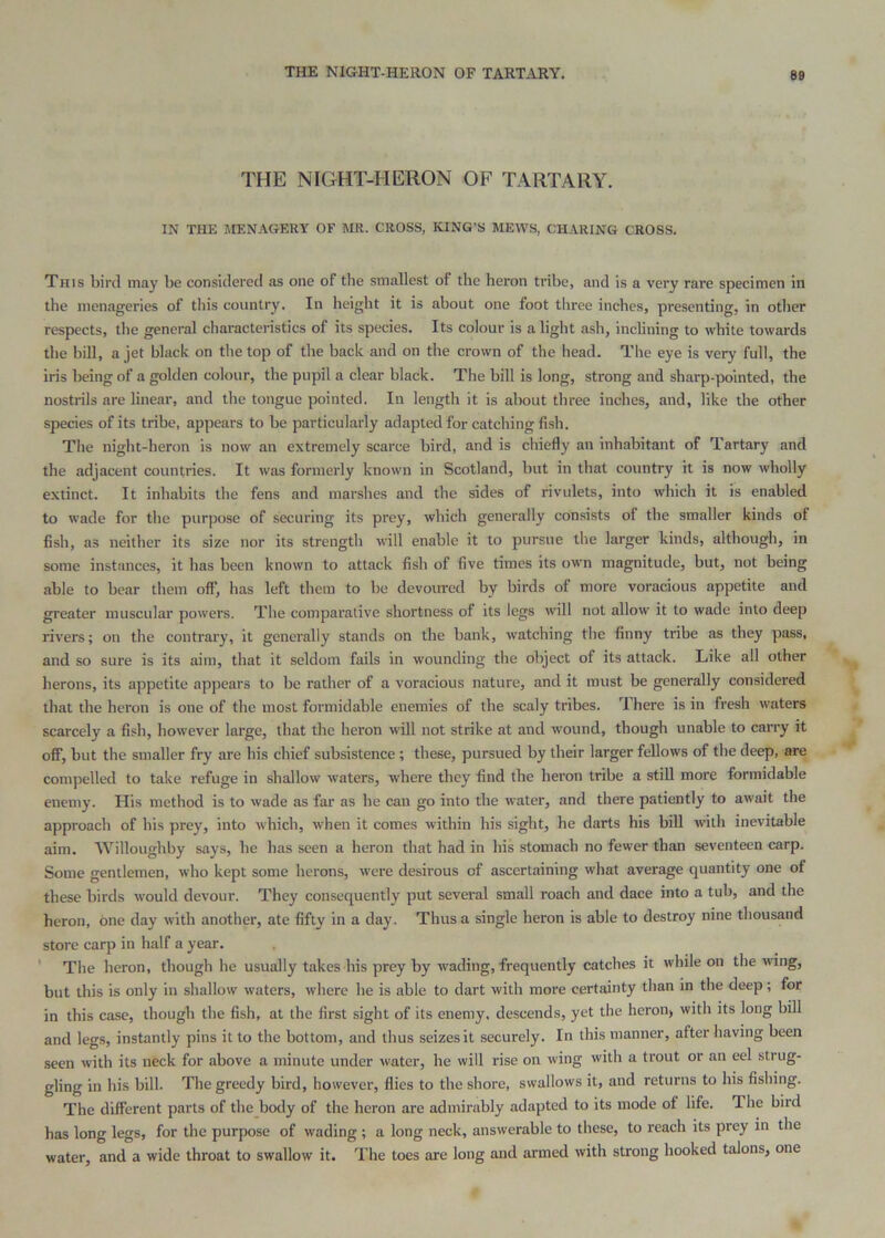 THE NIGHT-HERON OF TARTARY. 69 THE NIGHT-HERON OF TARTARY. IN THE JIENAGERY OF MR. CROSS, KING’S MEWS, CHARING CROSS. This bird may be considered as one of the smallest of the heron tribe, and is a very rare specimen in the menageries of this country. In height it is about one foot three inches, presenting, in other respects, the general characteristics of its species. Its colour is a light ash, inclining to white towards the bill, a jet black on the top of the back and on the crown of the head. The eye is very full, the iris being of a golden colour, the pupil a clear black. The bill is long, strong and sharp-pointed, the nostrils are linear, and the tongue pointed. In length it is about three inches, and, like the other species of its tribe, appears to be particularly adapted for catching fish. The night-heron is now an extremely scarce bird, and is chiefly an inhabitant of Tartary and the adjacent countries. It was formerly known in Scotland, but in that country it is now wholly extinct. It inhabits the fens and marshes and the sides of rivulets, into which it is enabled to wade for the purpose of securing its prey, which generally consists of the smaller kinds of fish, as neither its size nor its strength will enable it to pursue the larger kinds, although, in some instances, it has been known to attack fish of five times its own magnitude, but, not being able to bear them off, has left them to be devoured by birds of more voracious appetite and greater muscular powers. The comparative shortness of its legs will not allow it to wade into deep rivers; on the contrary, it generally stands on the bank, watching the finny tribe as they pass, and so sure is its aim, that it seldom fails in wounding the object of its attack. Like all other herons, its appetite appears to be rather of a voracious nature, and it must be generally considered that the heron is one of the most formidable enemies of the scaly tribes. There is in fresh waters scarcely a fish, however large, that the heron will not strike at and wound, though unable to carry it off, but the smaller fry are his chief subsistence; these, pursued by their larger fellows of the deep, are compelled to take refuge in shallow waters, where they find the heron tribe a stiU more formidable enemy. His method is to wade as far as he can go into the water, and there patiently to await the approach of his prey, into which, when it comes within his sight, he darts his biU with inevitable aim. Willoughby says, he has seen a heron that had in his stomach no fewer than seventeen carp. Some gentlemen, who kept some herons, were desirous of ascertaining what average quantity one of these birds would devour. They consequently put several small roach and dace into a tub, and the heron, one day with another, ate fifty in a day. Thus a single heron is able to destroy nine thousand store carp in half a year. ' The heron, though he usually takes his prey by wading, frequently catches it while on the wing, but this is only in shallow waters, where he is able to dart with more certainty than in the deep; for in this case, though the fish, at the first sight of its enemy, descends, yet the heron, with its long bill and legs, instantly pins it to the bottom, and thus seizes it securely. In this manner, after having been seen with its neck for above a minute under water, he will rise on wing with a trout or an eel strug- gling in his bill. The greedy bird, however, flies to the shore, swallows it, and returns to his fishing. The different parts of the body of the heron are admirably adapted to its mode of life. The bird has long legs, for the purpose of wading ; a long neck, answerable to these, to reach its prey in the water, and a wide throat to swallow it. The toes are long and armed with strong hooked talons, one